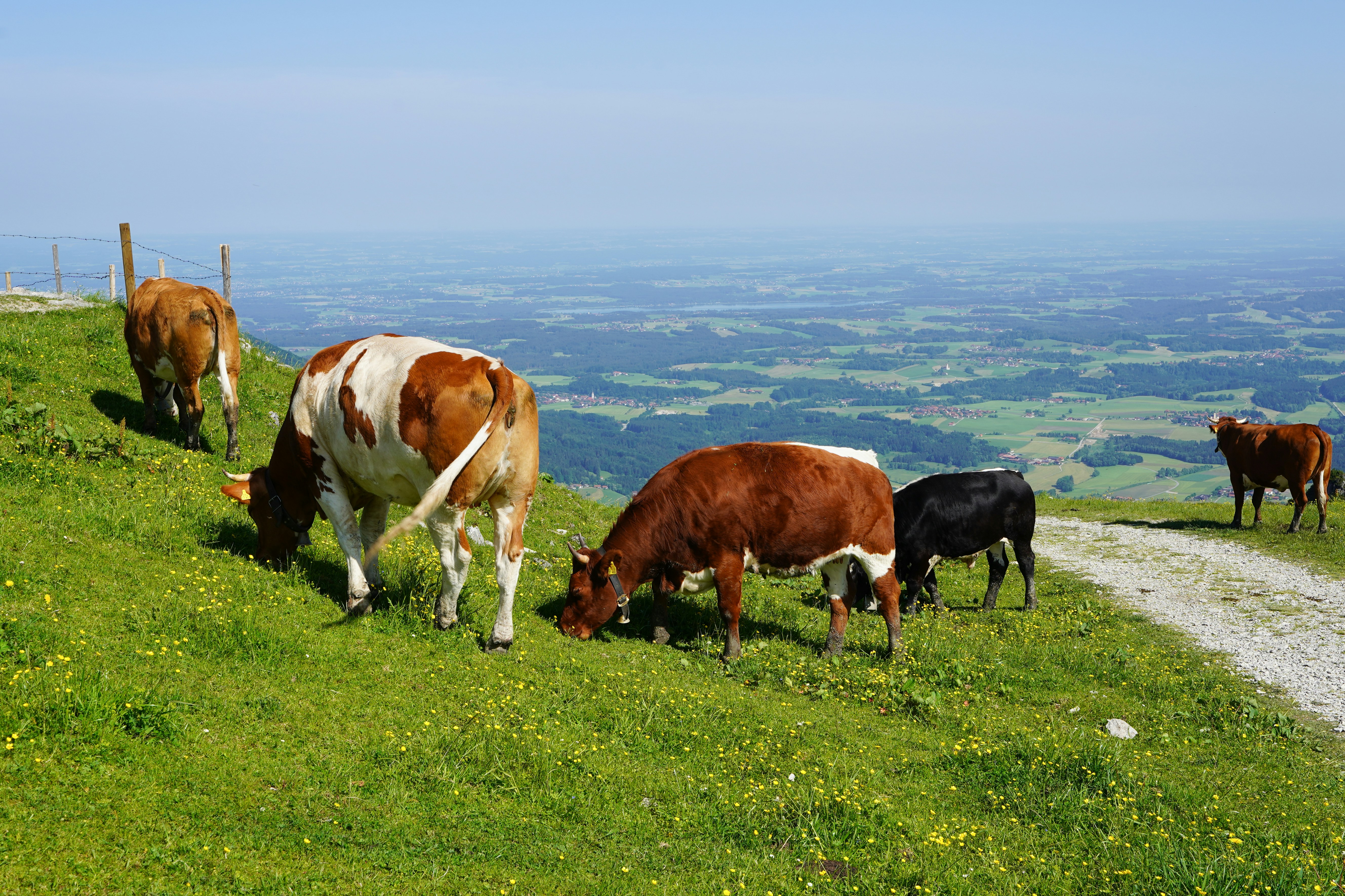 Photo by hamburgmeinefreundin