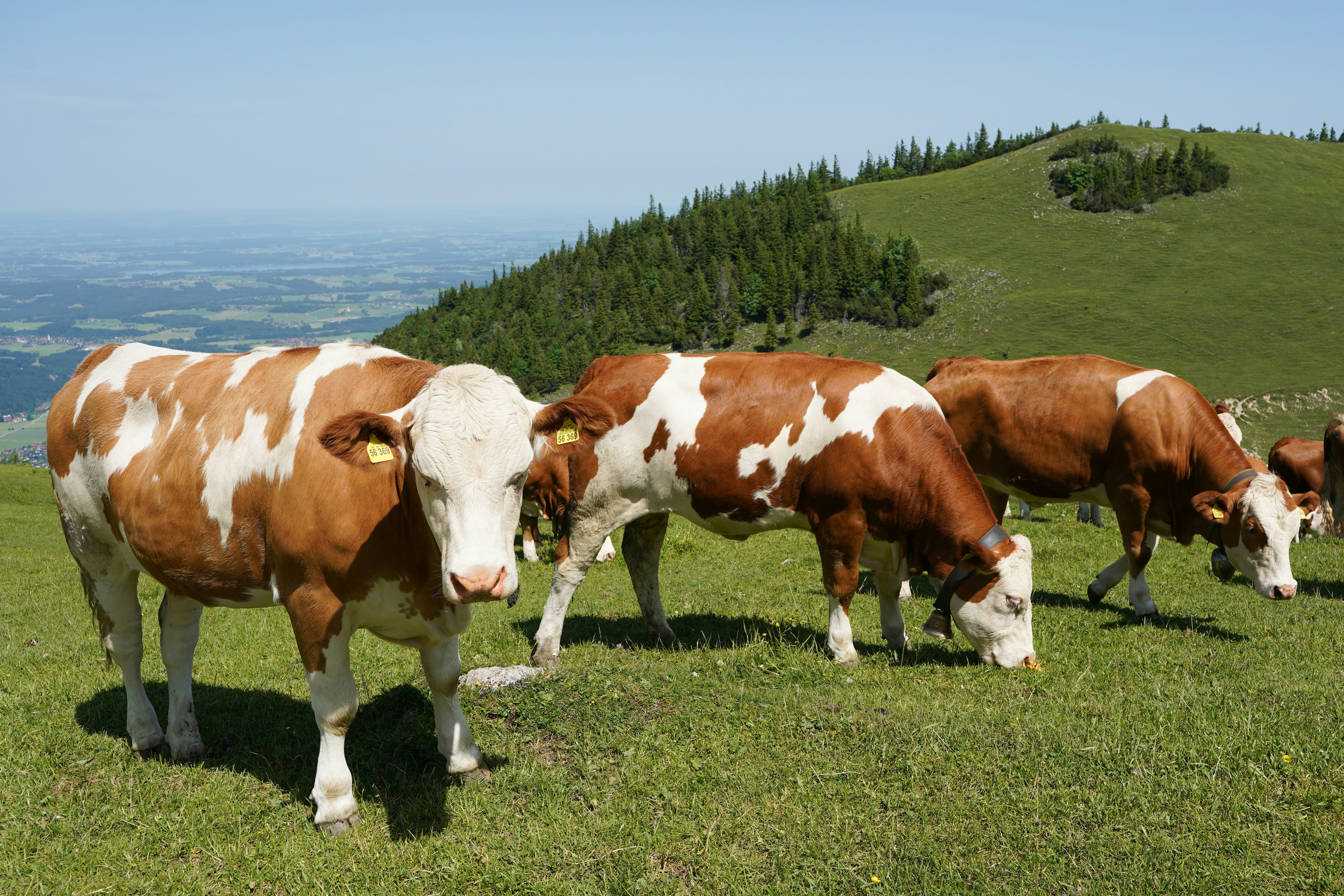 Photo by hamburgmeinefreundin