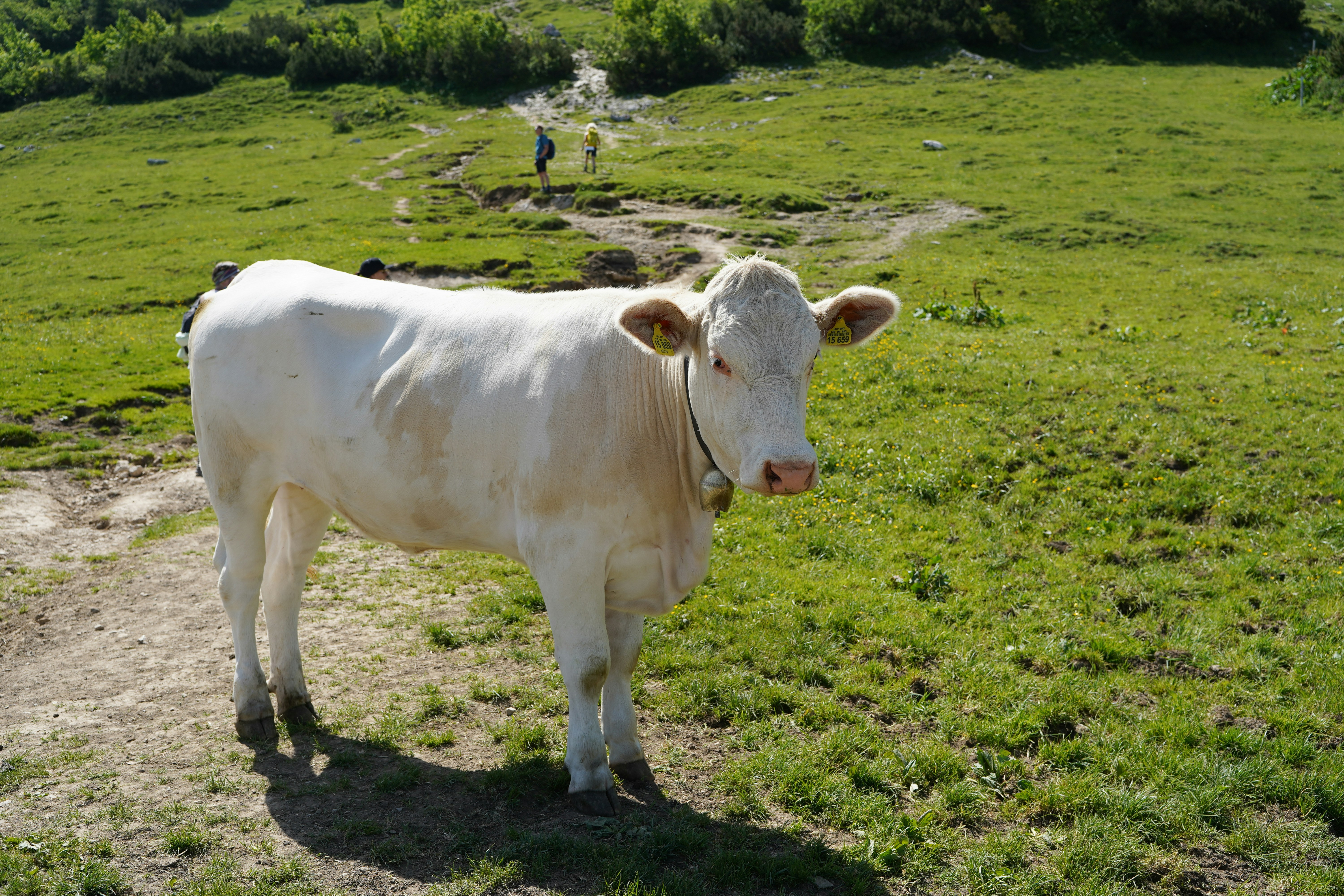 Photo by hamburgmeinefreundin