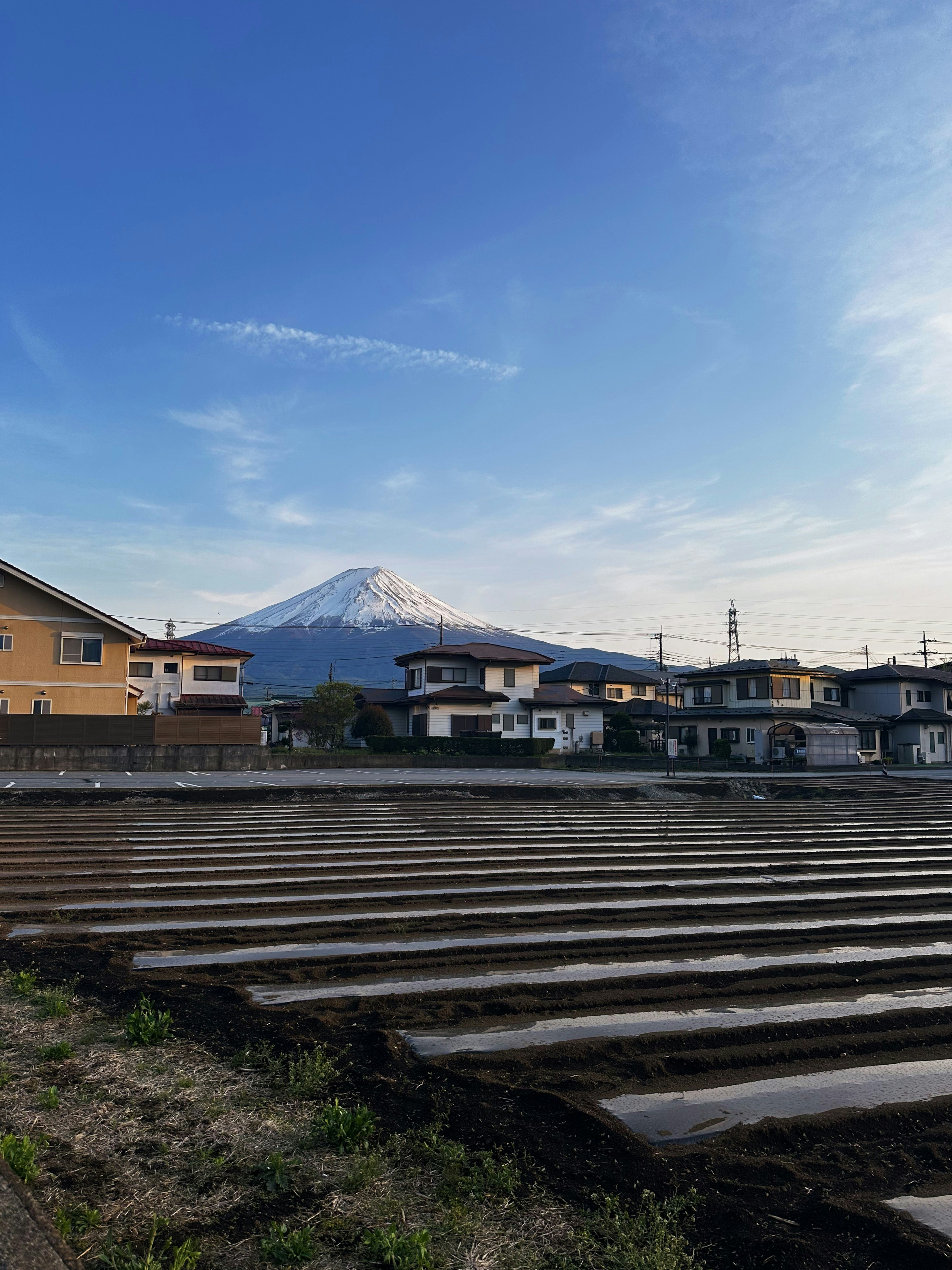Il Monte Fuji incombe su un campo e su un quartiere.