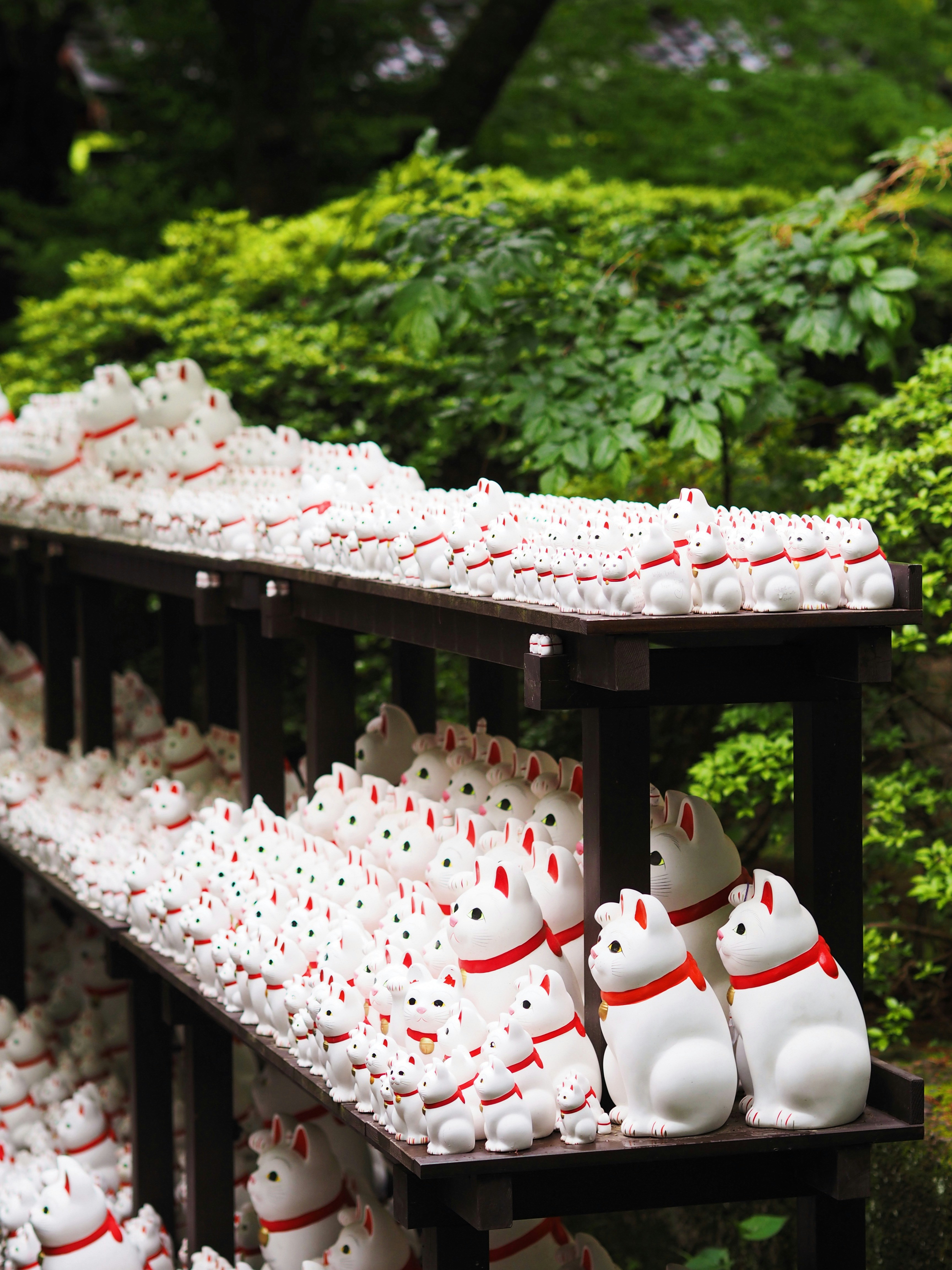 File su file di statue di gatti bianchi.