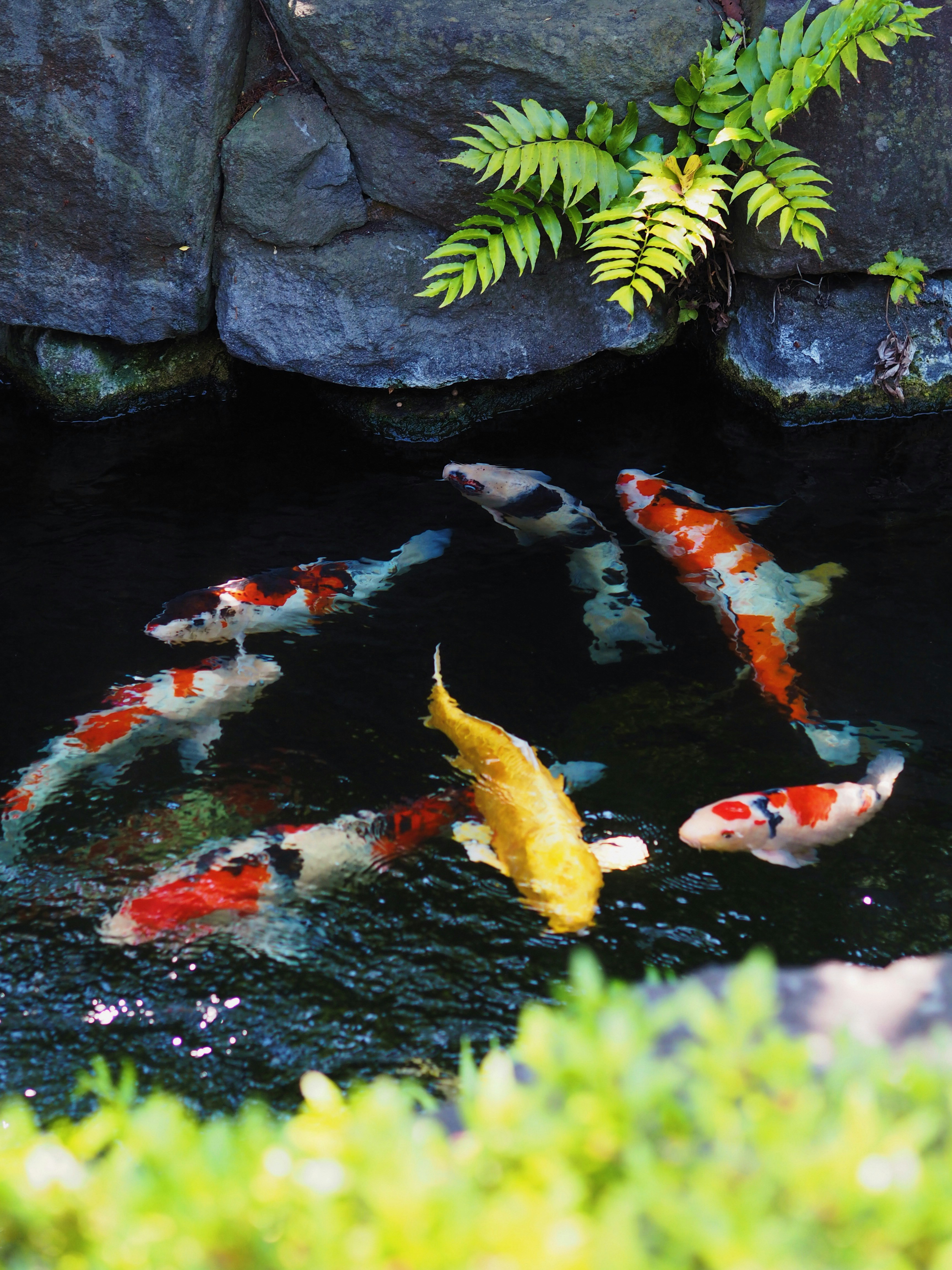 Photo by chloe_lefleur