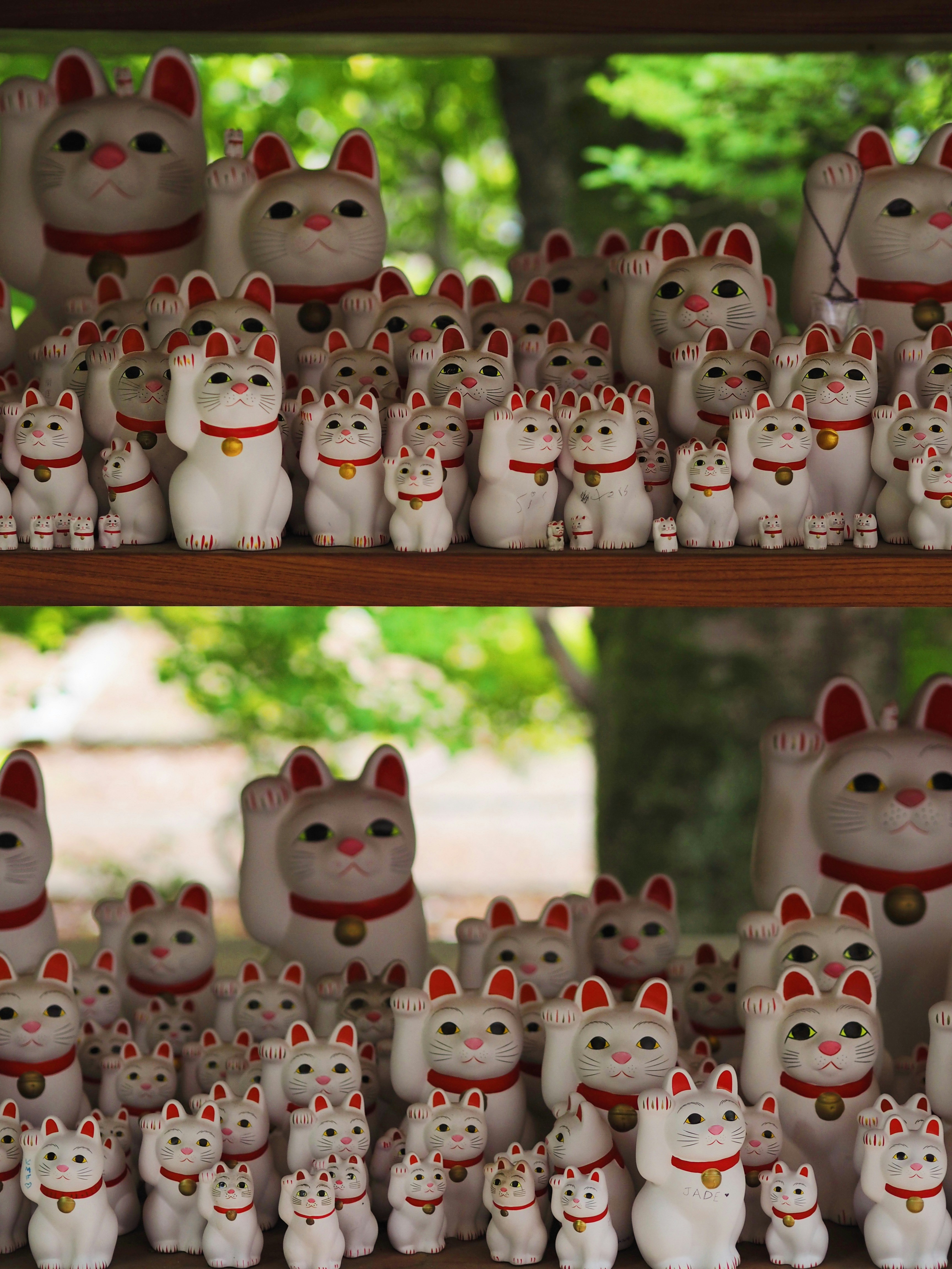 Molte statue di maneki neko sono impilate sugli scaffali.