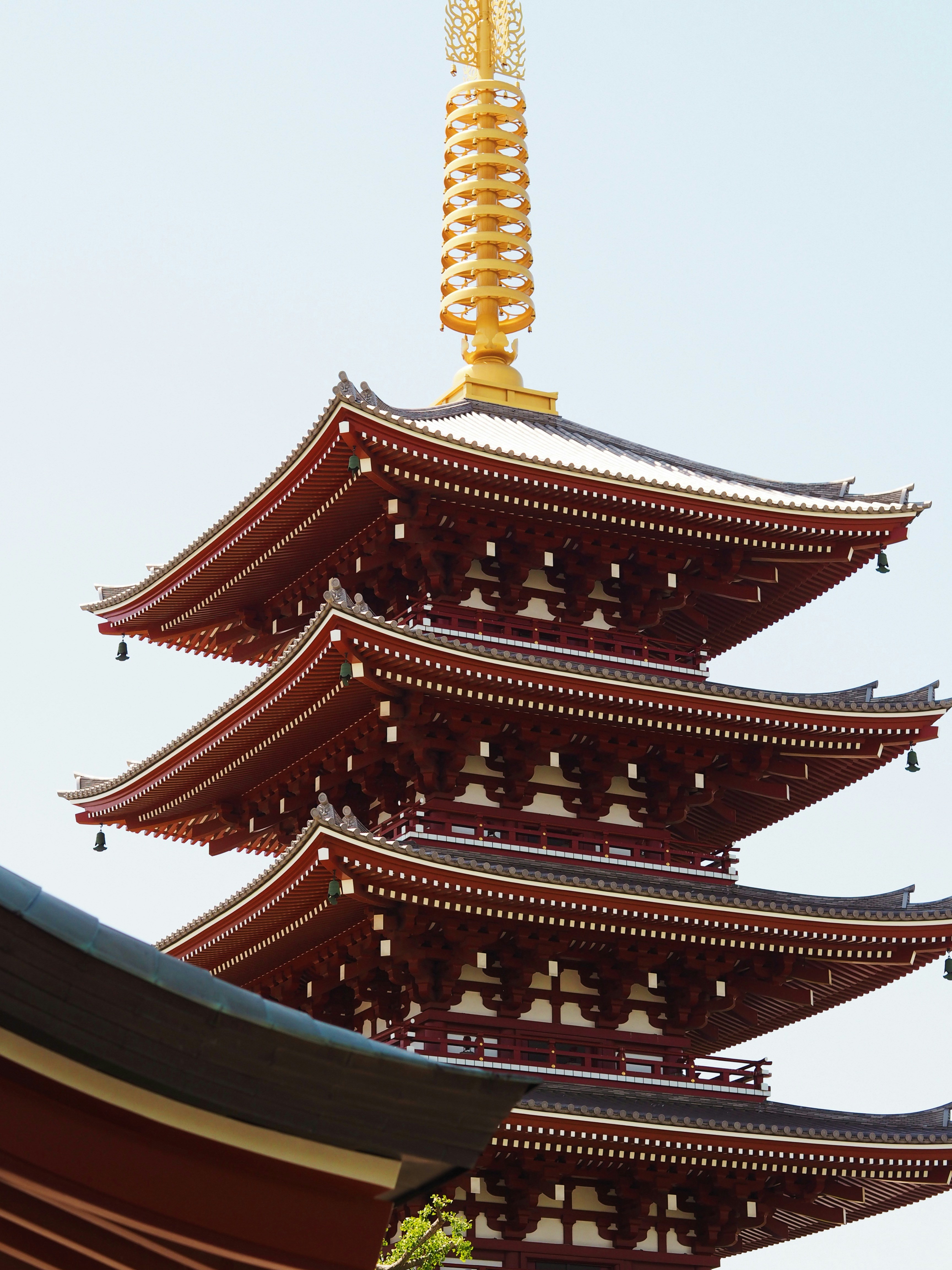 Photo by chloe_lefleur