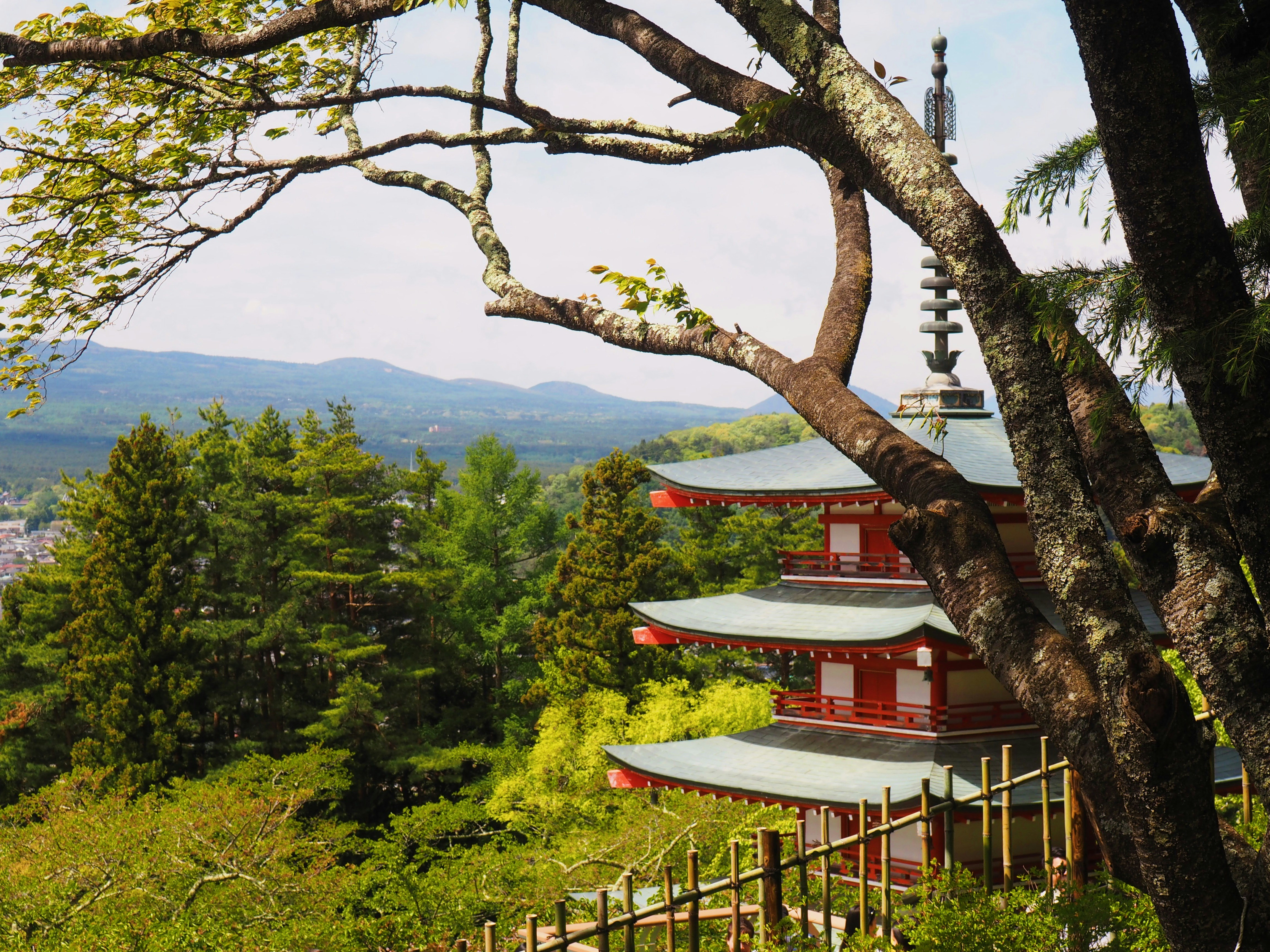 Quand partir au Japon ? Climat, saisons et meilleurs moments