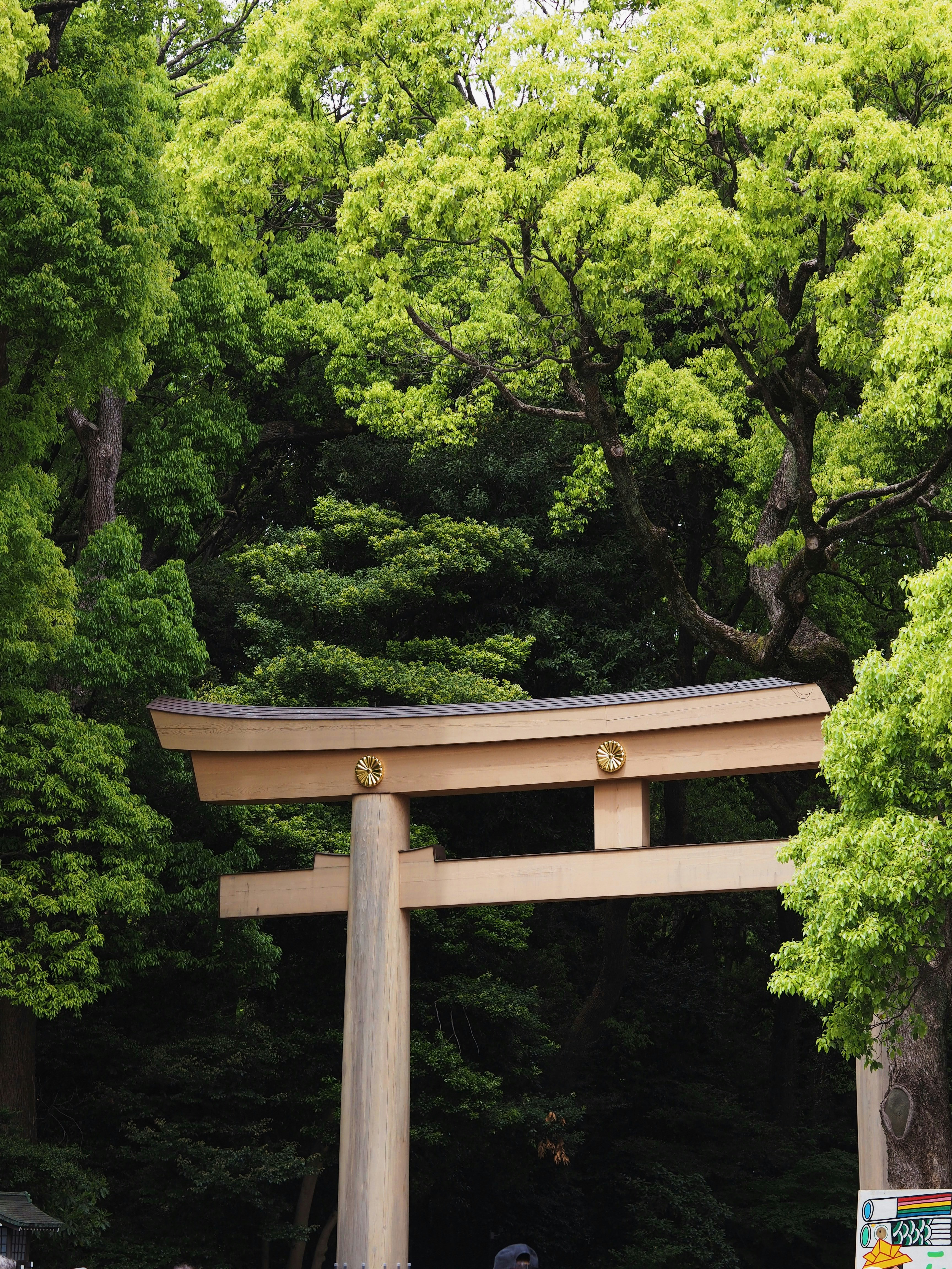 Photo by chloe_lefleur