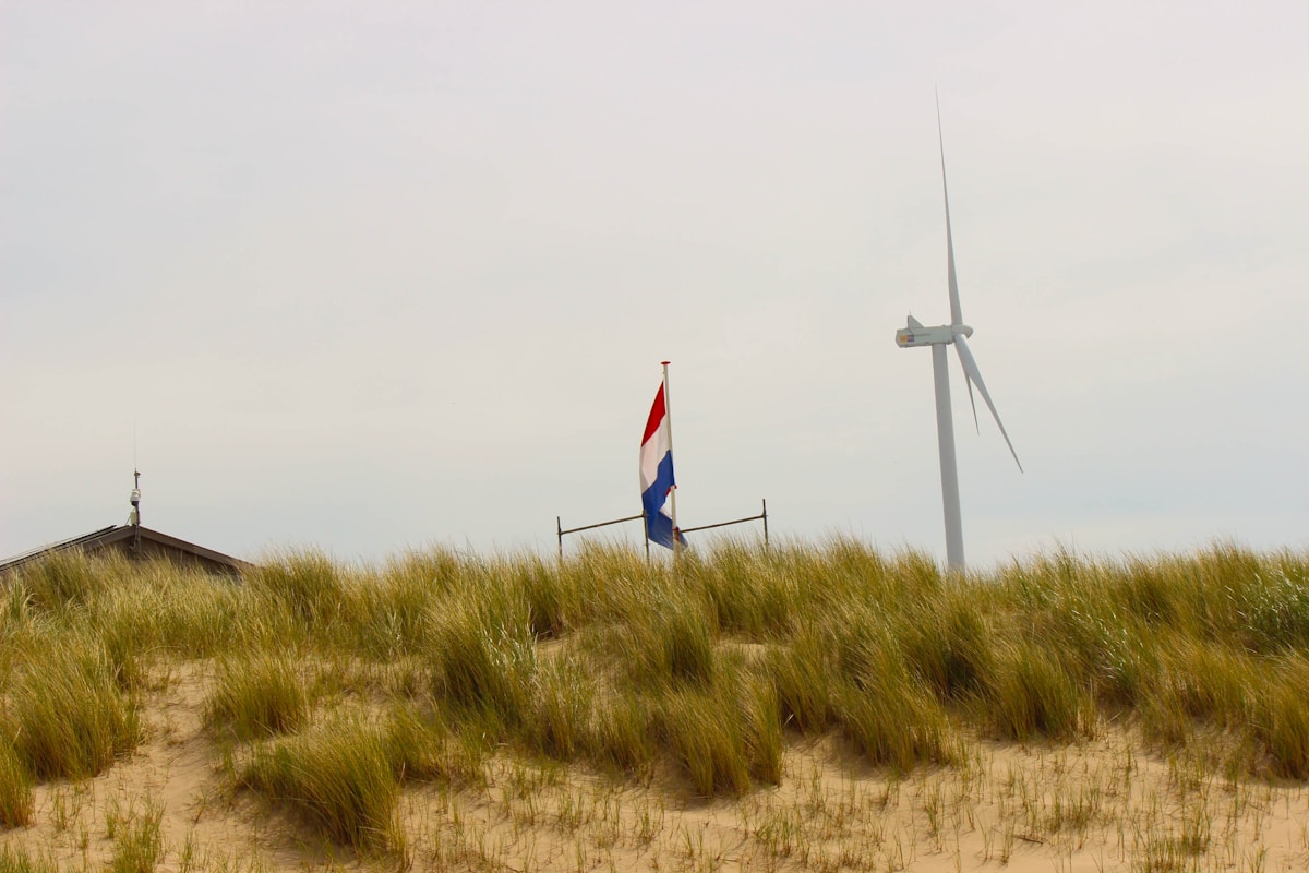 medtech related image for: Reuters: TotalEnergies Wins French Offshore Wind Farm Bid