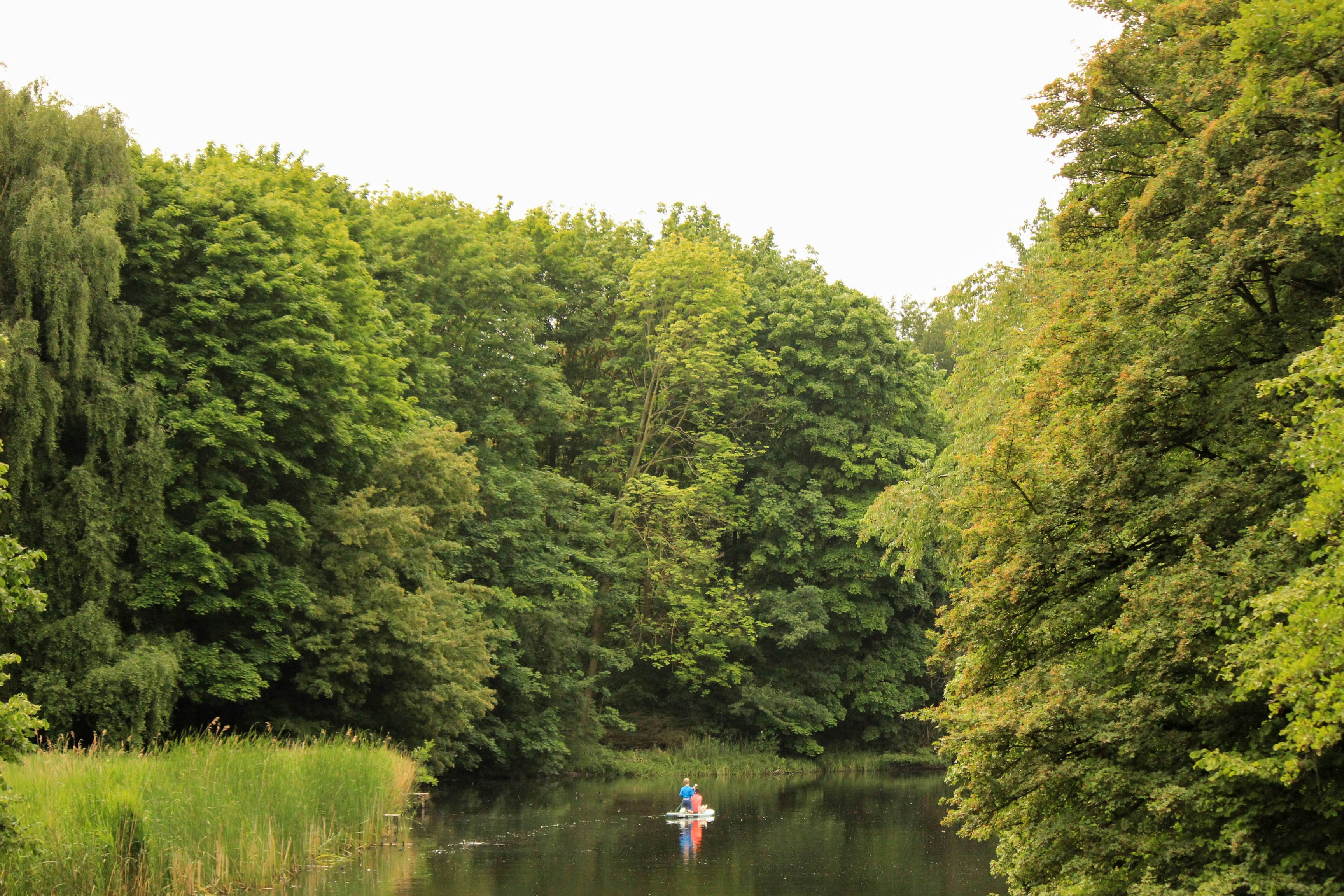 A person kayaks on a tranquil river.