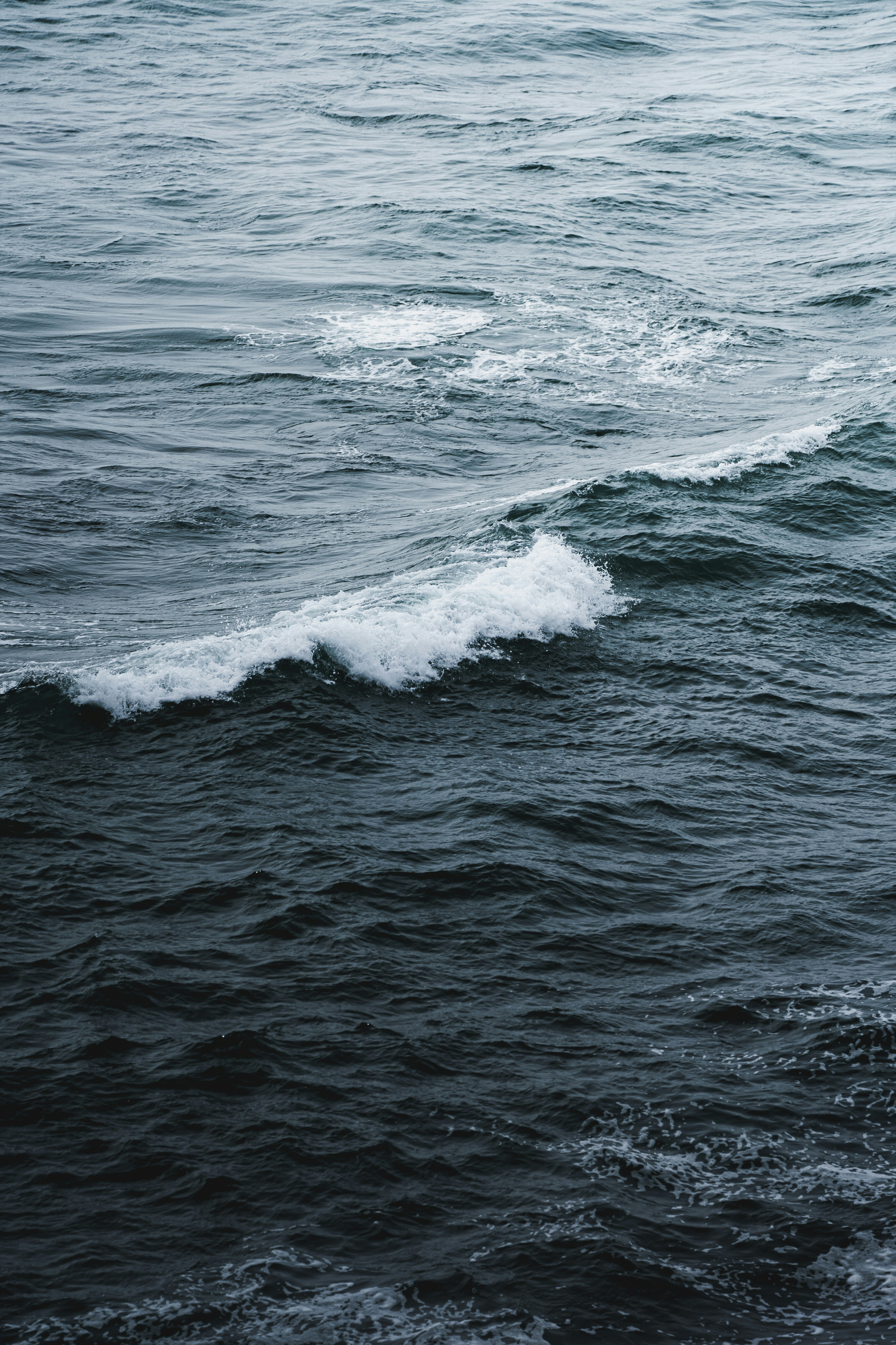 Photo by mauriciogutierreztello