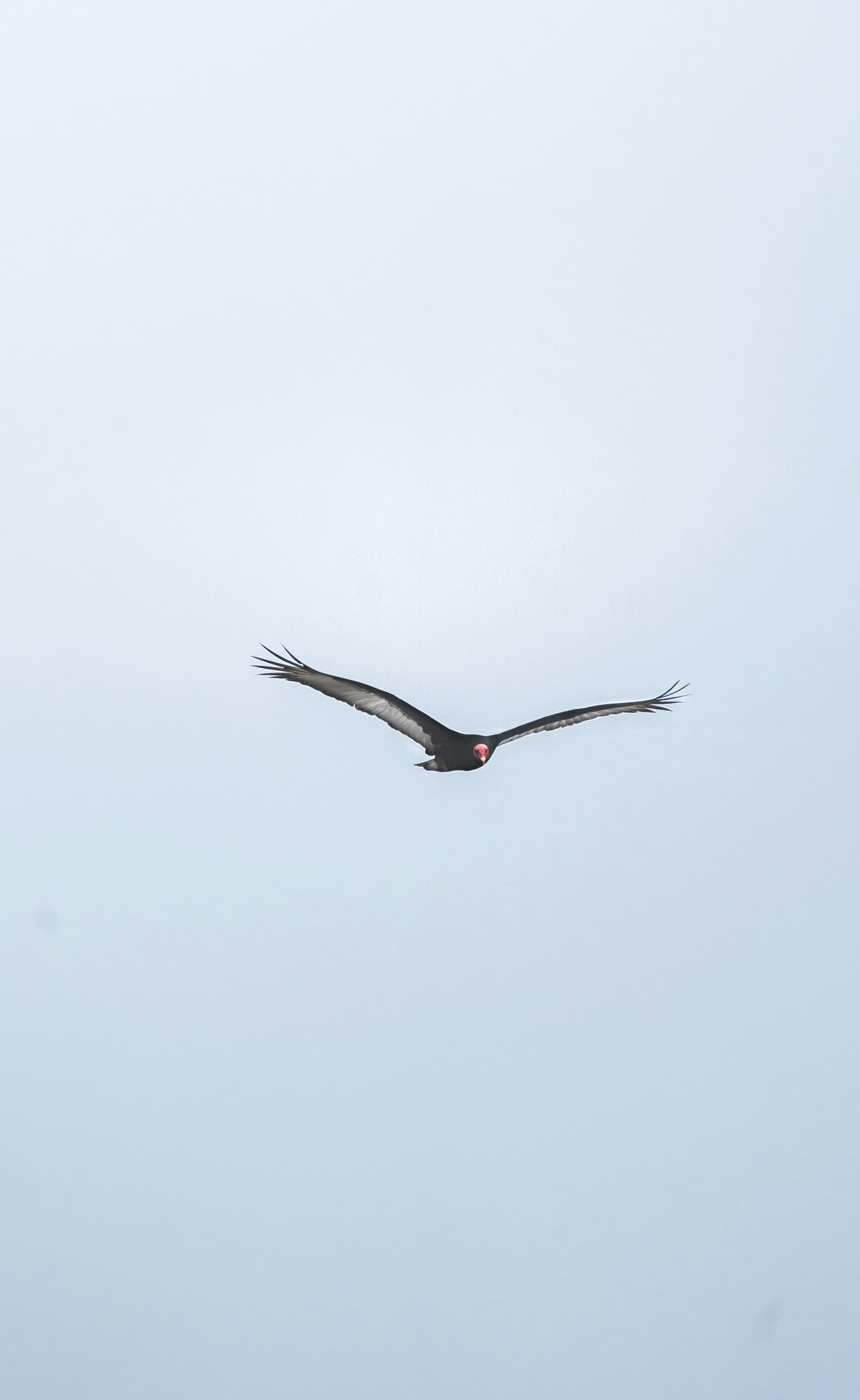 Photo by mauriciogutierreztello