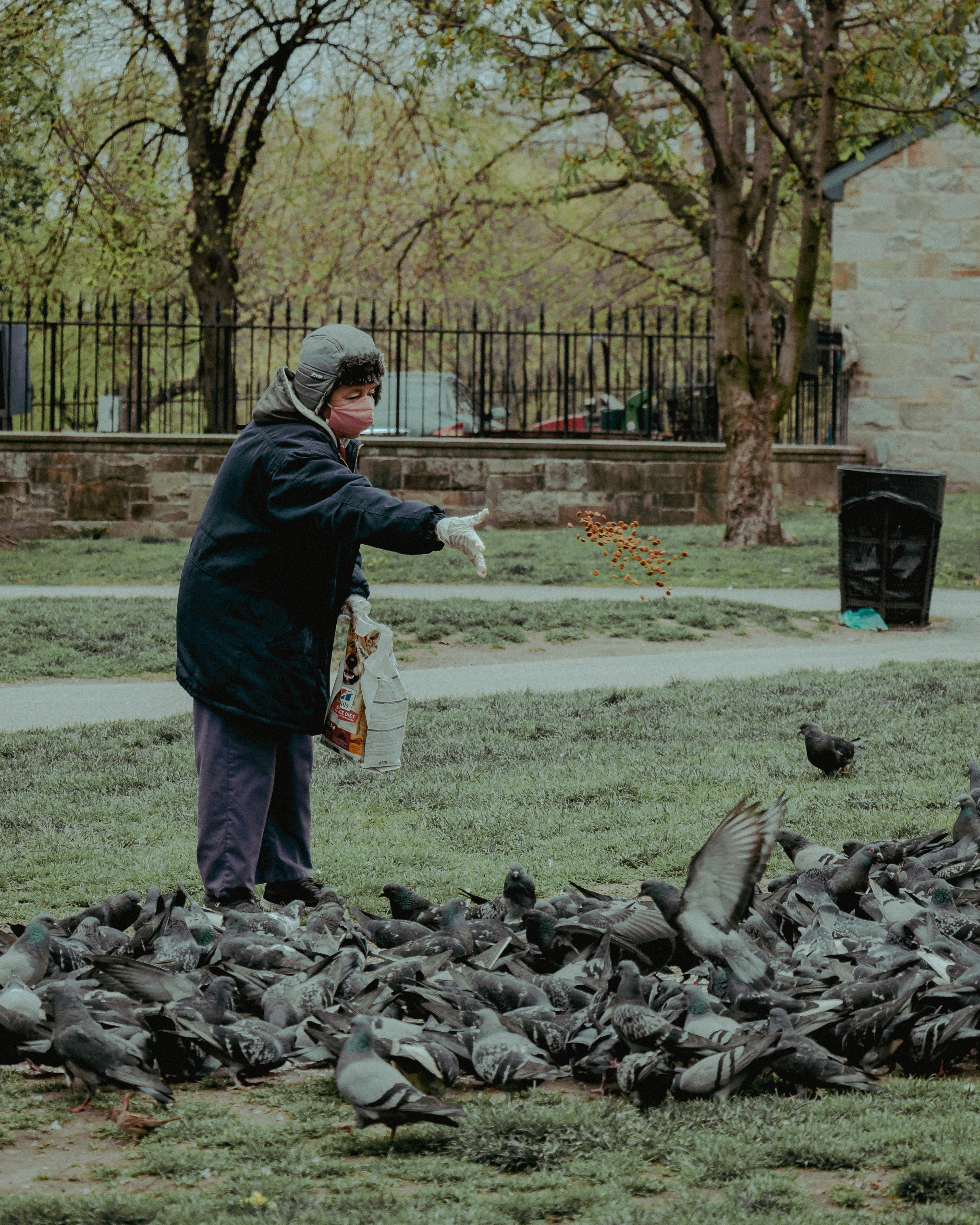 A person feeds pigeons in a park.