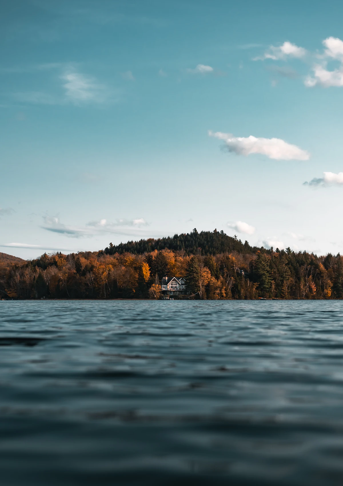 Lakeside cabin surrounded by trees