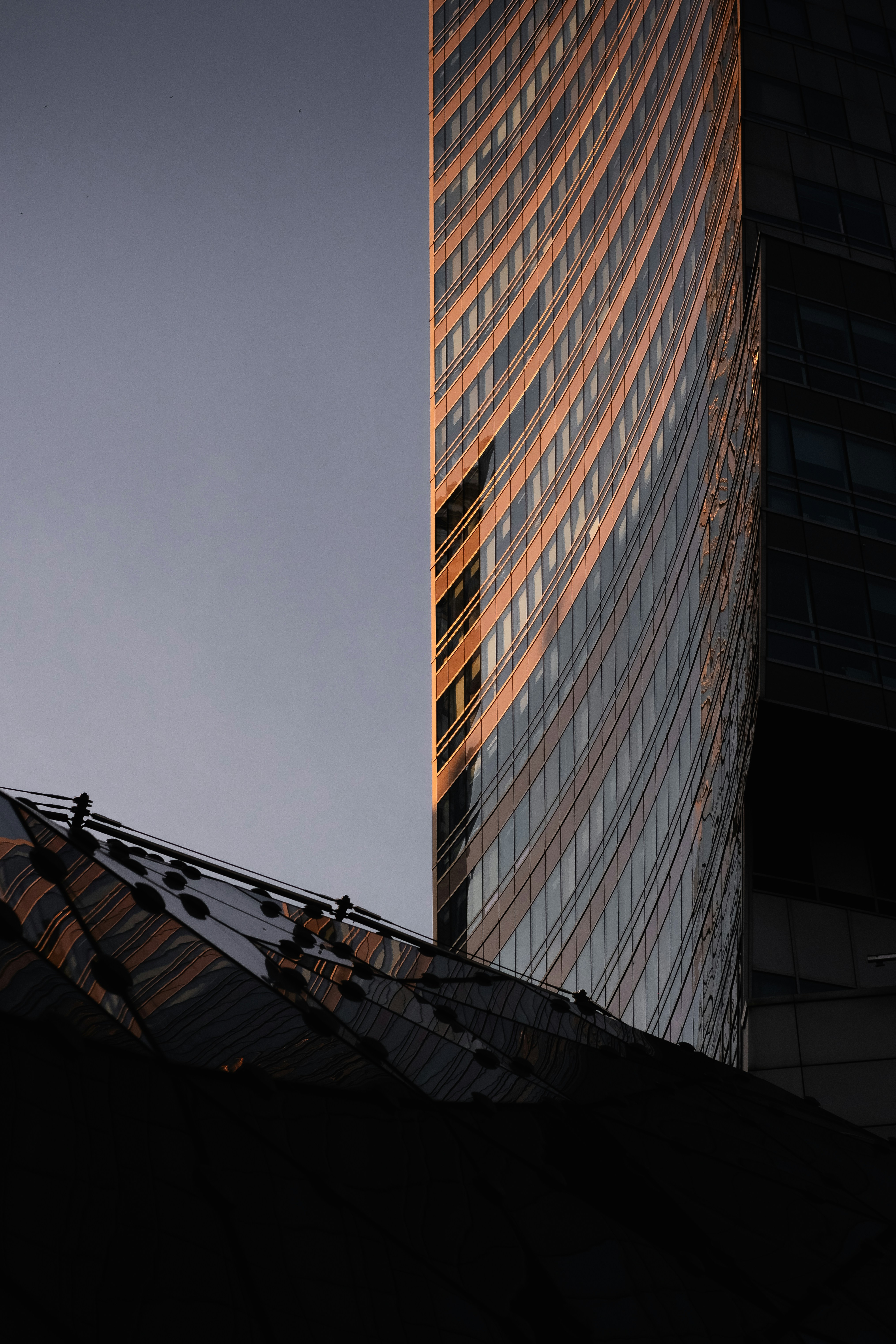 Photo by maksim_taawy