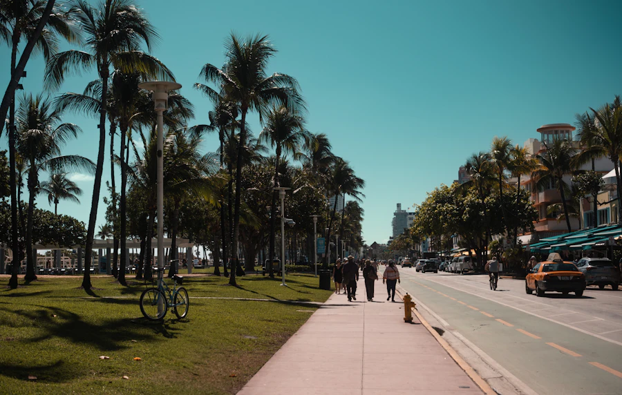 Palm-lined Florida street representing Winter Park