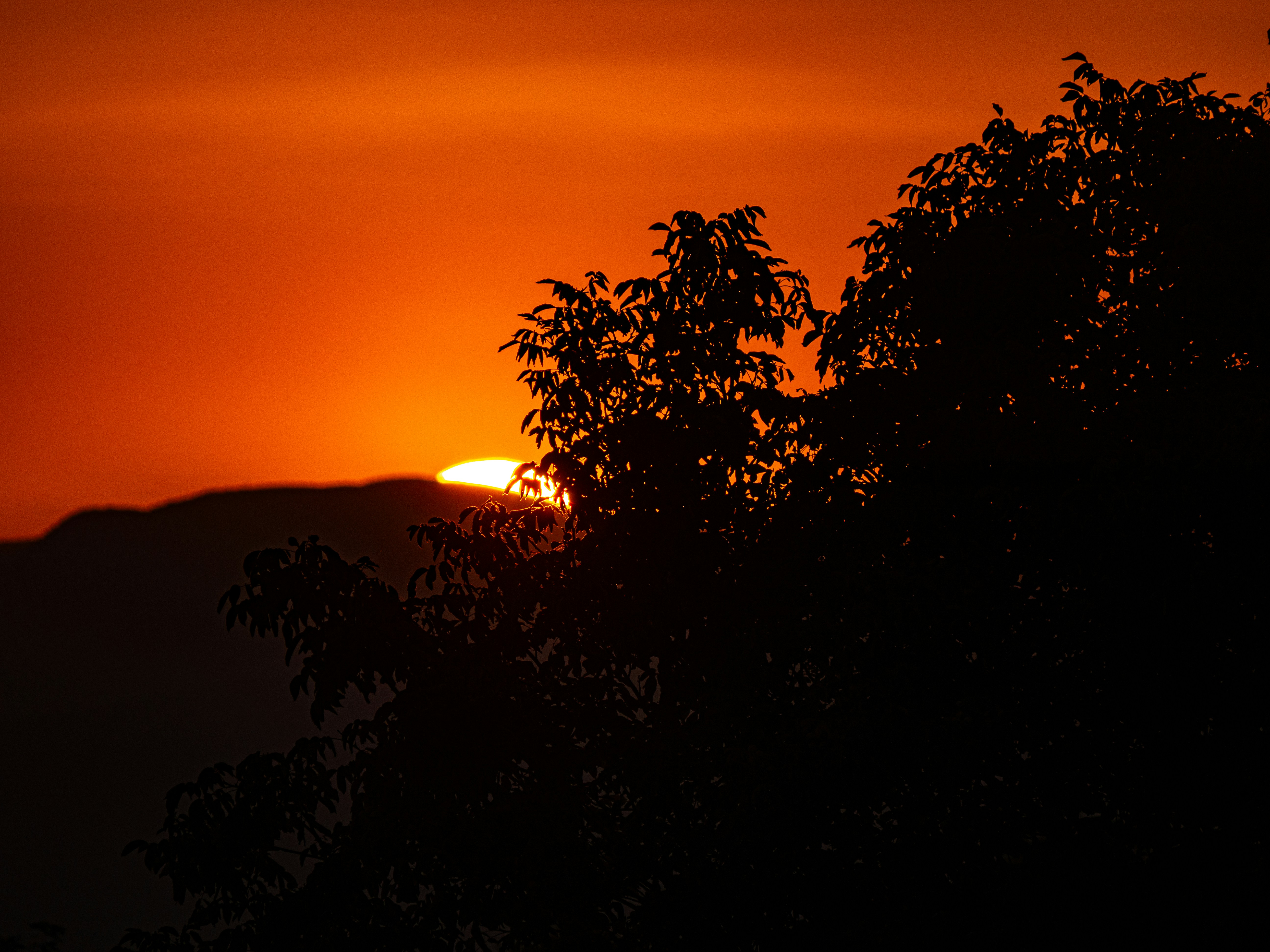 Photo by gopitri_prem