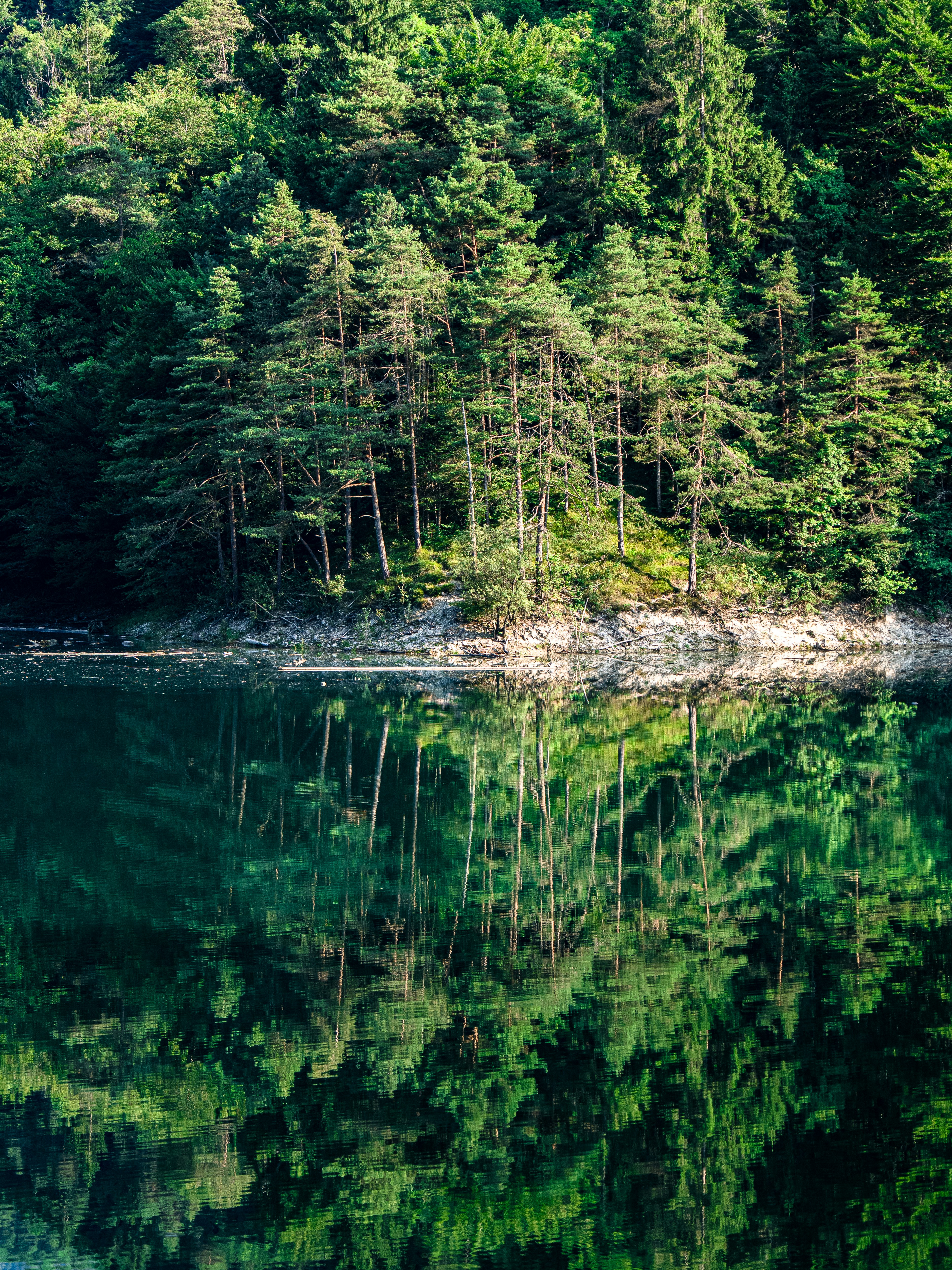 Photo by gopitri_prem