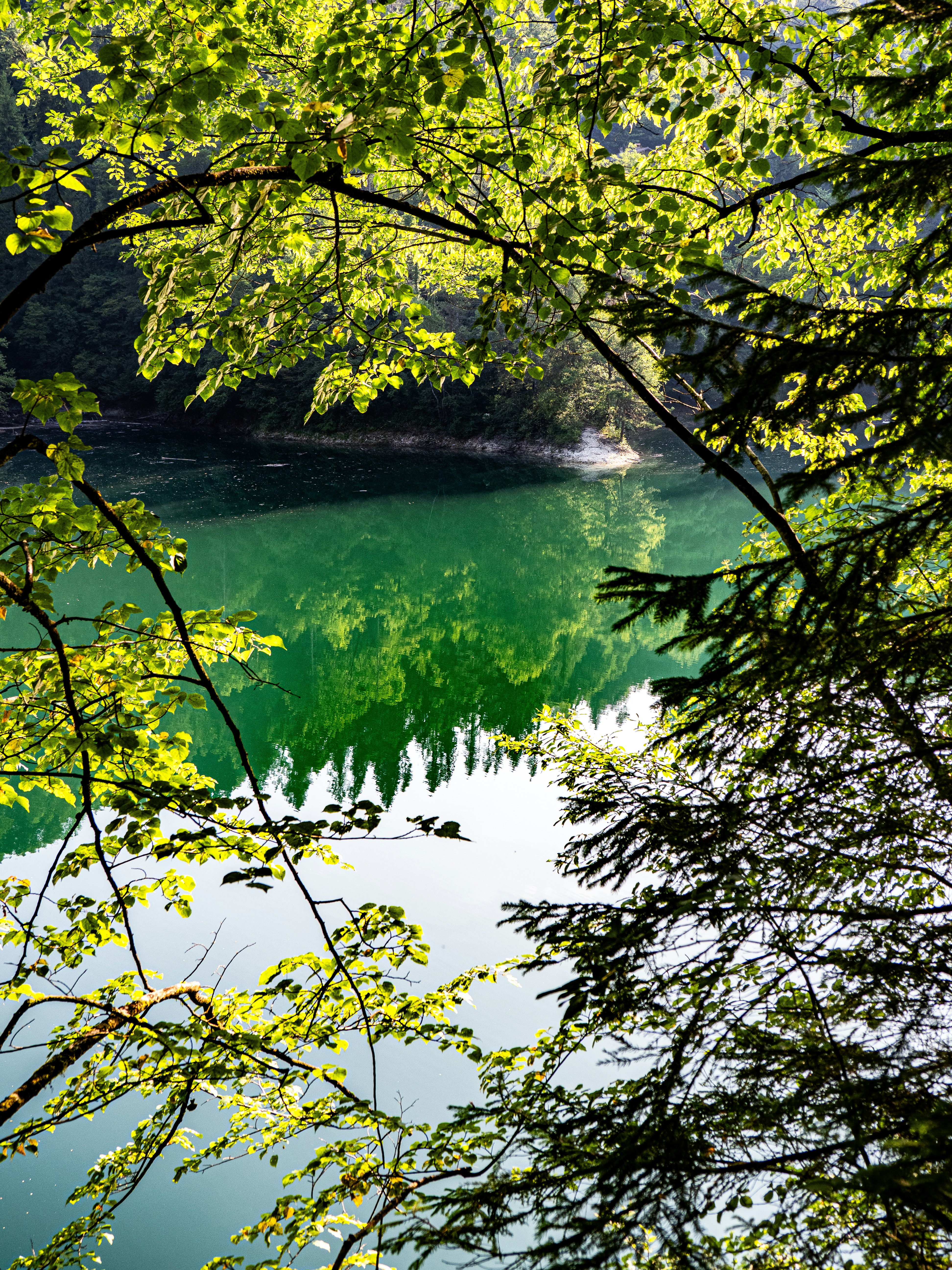 Photo by gopitri_prem