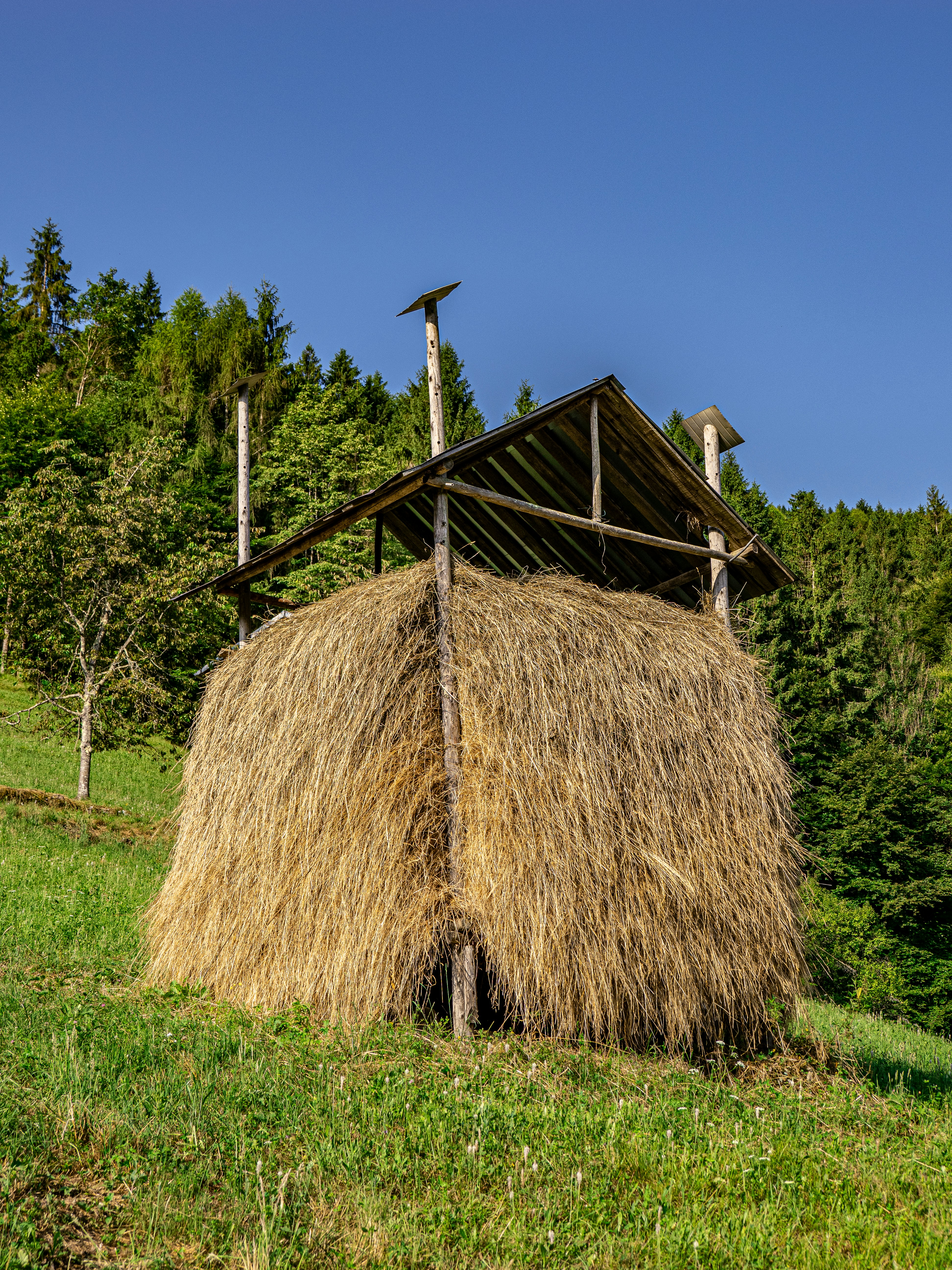 Photo by gopitri_prem