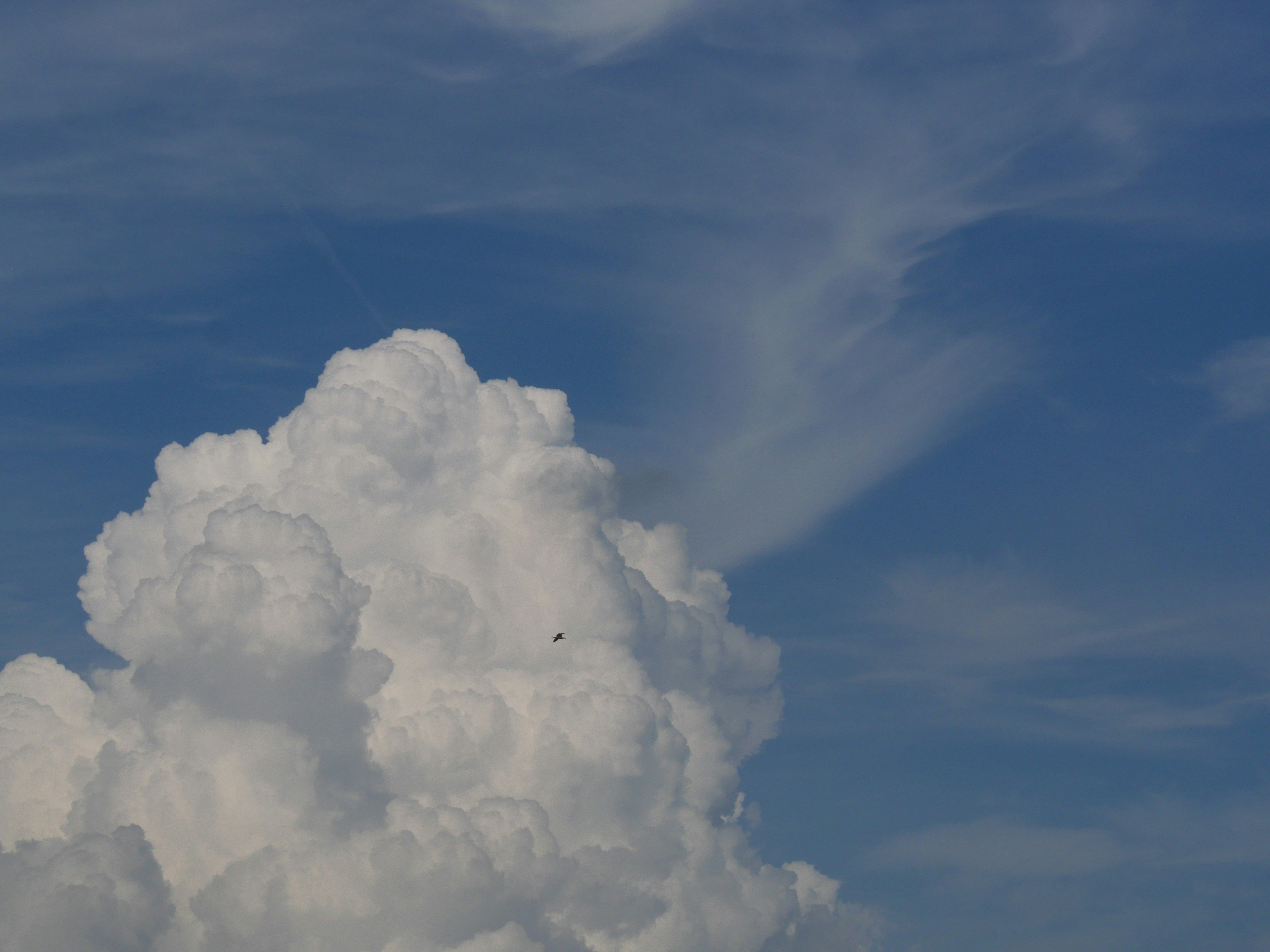 Photo by nimbus_vulpis