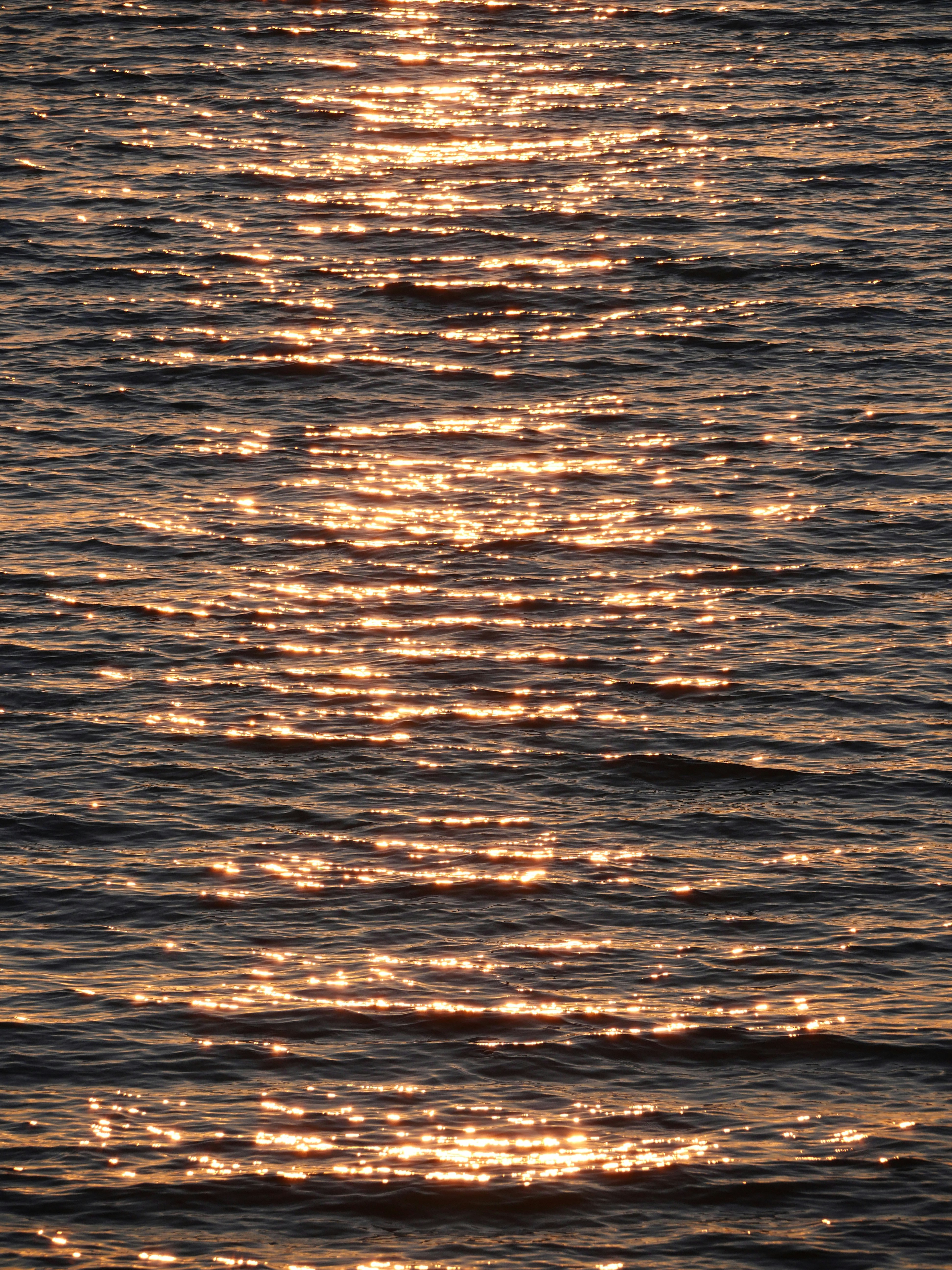 Photo by nimbus_vulpis