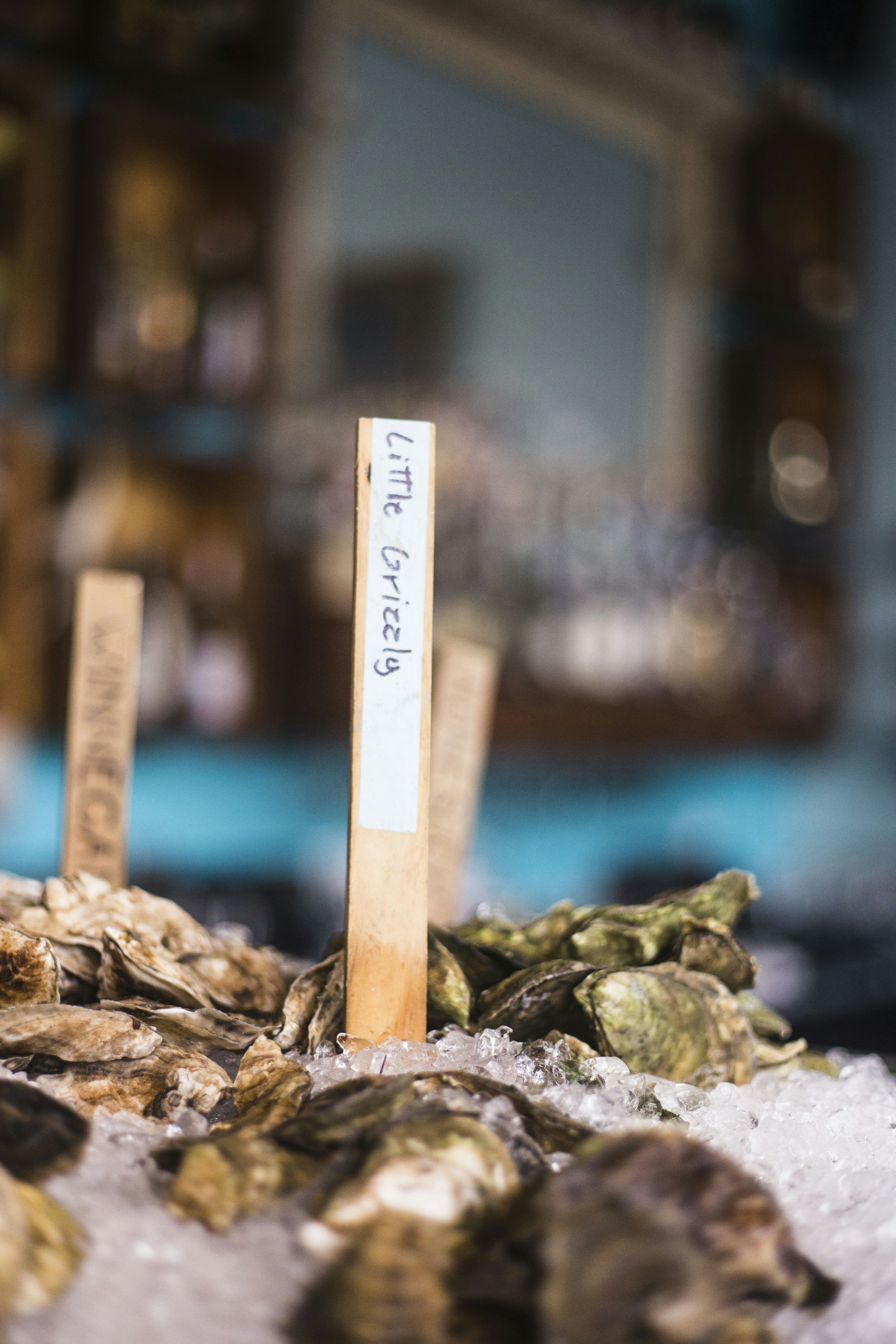 Oysters sit on ice with a "little grizzly" sign.