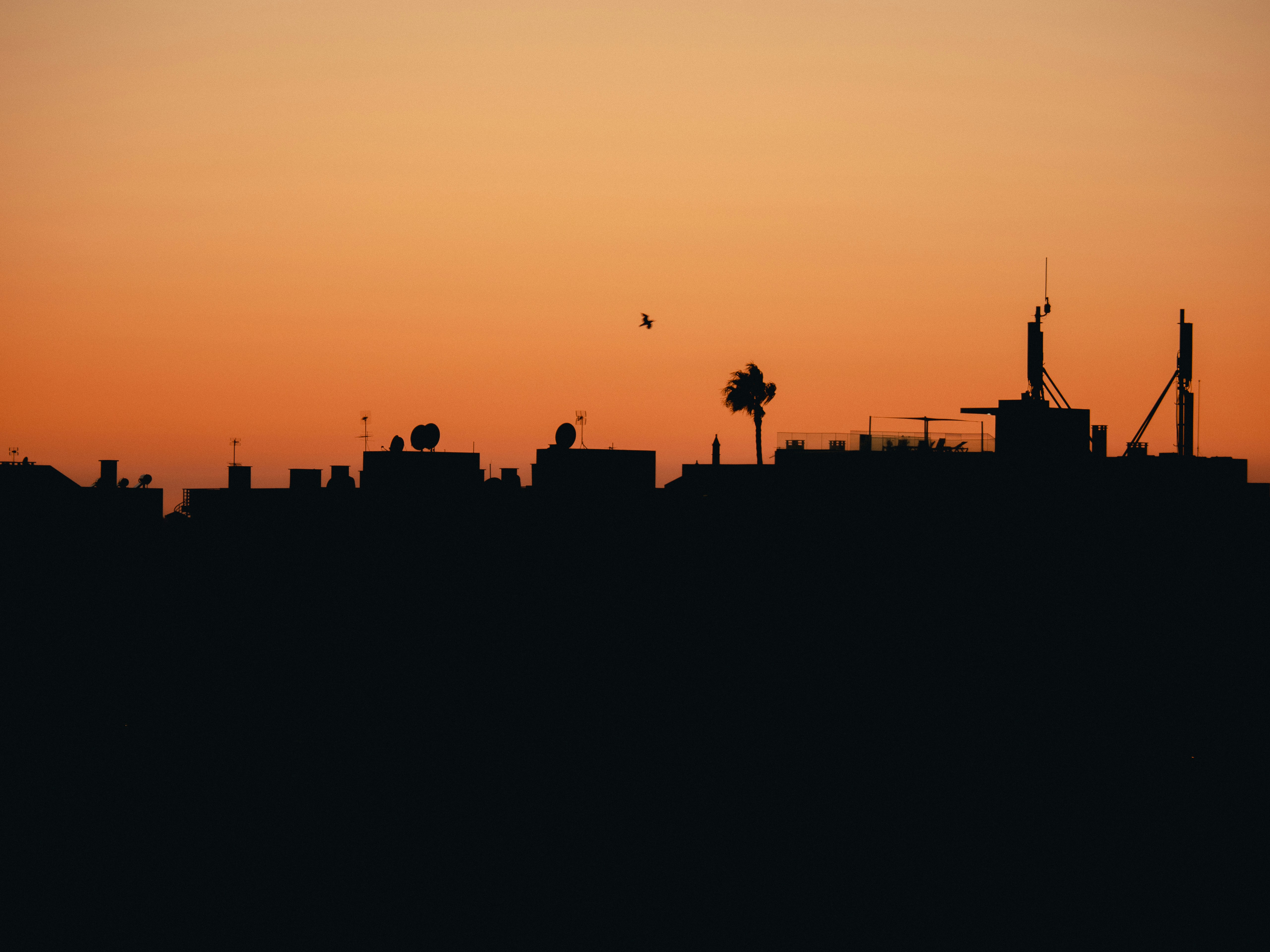 Photo by timonreinhard