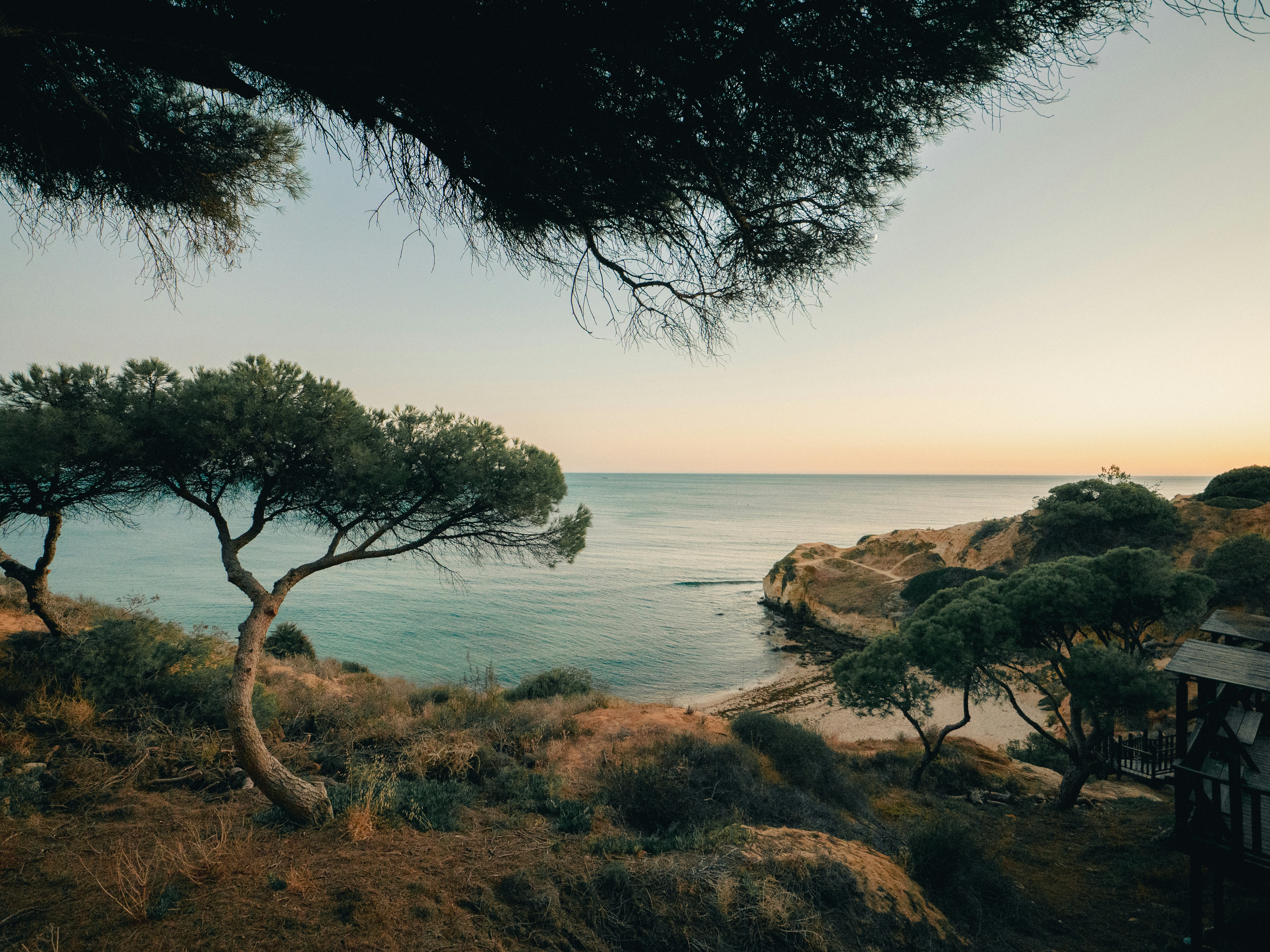 Photo by timonreinhard