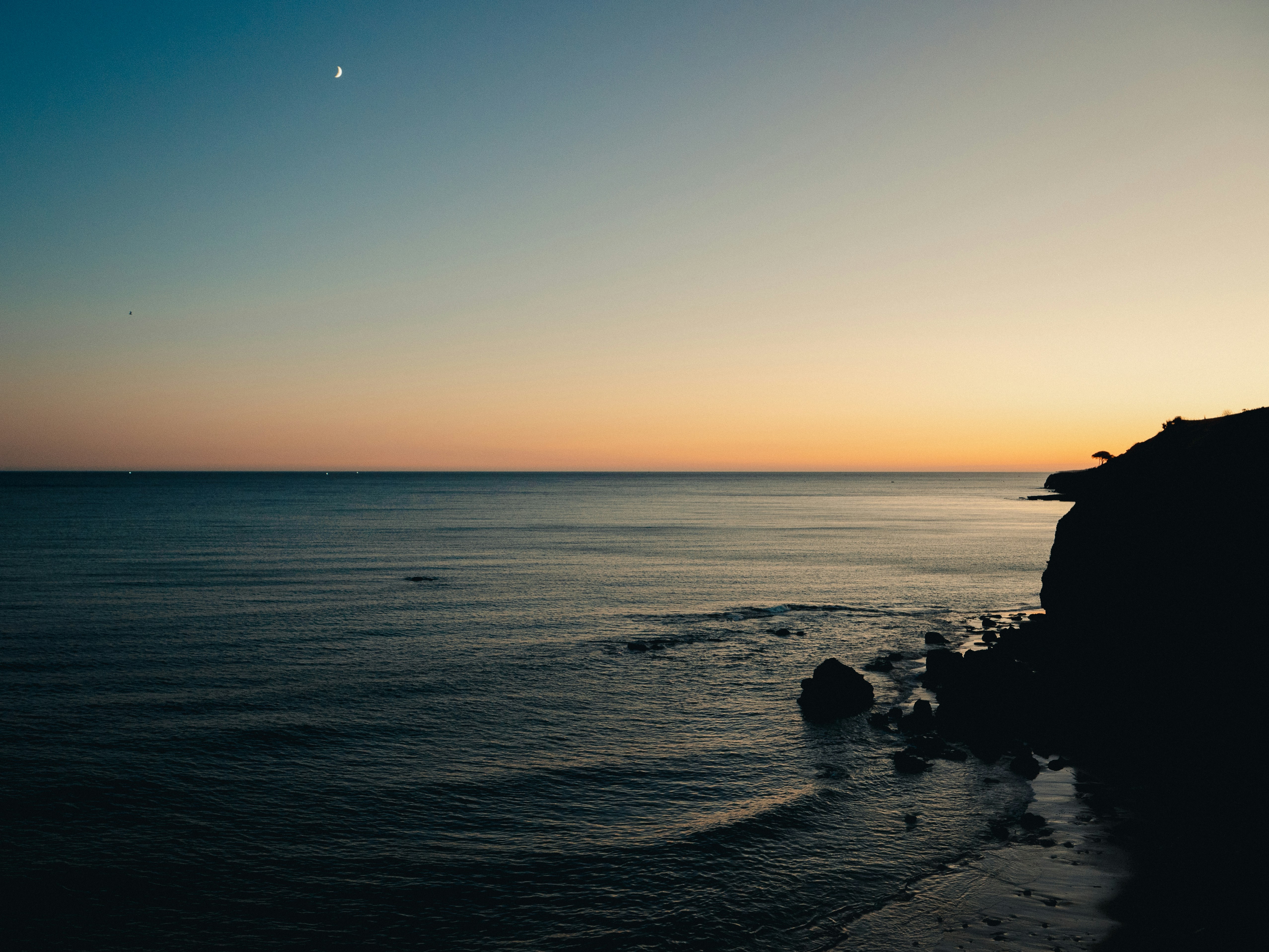 Photo by timonreinhard