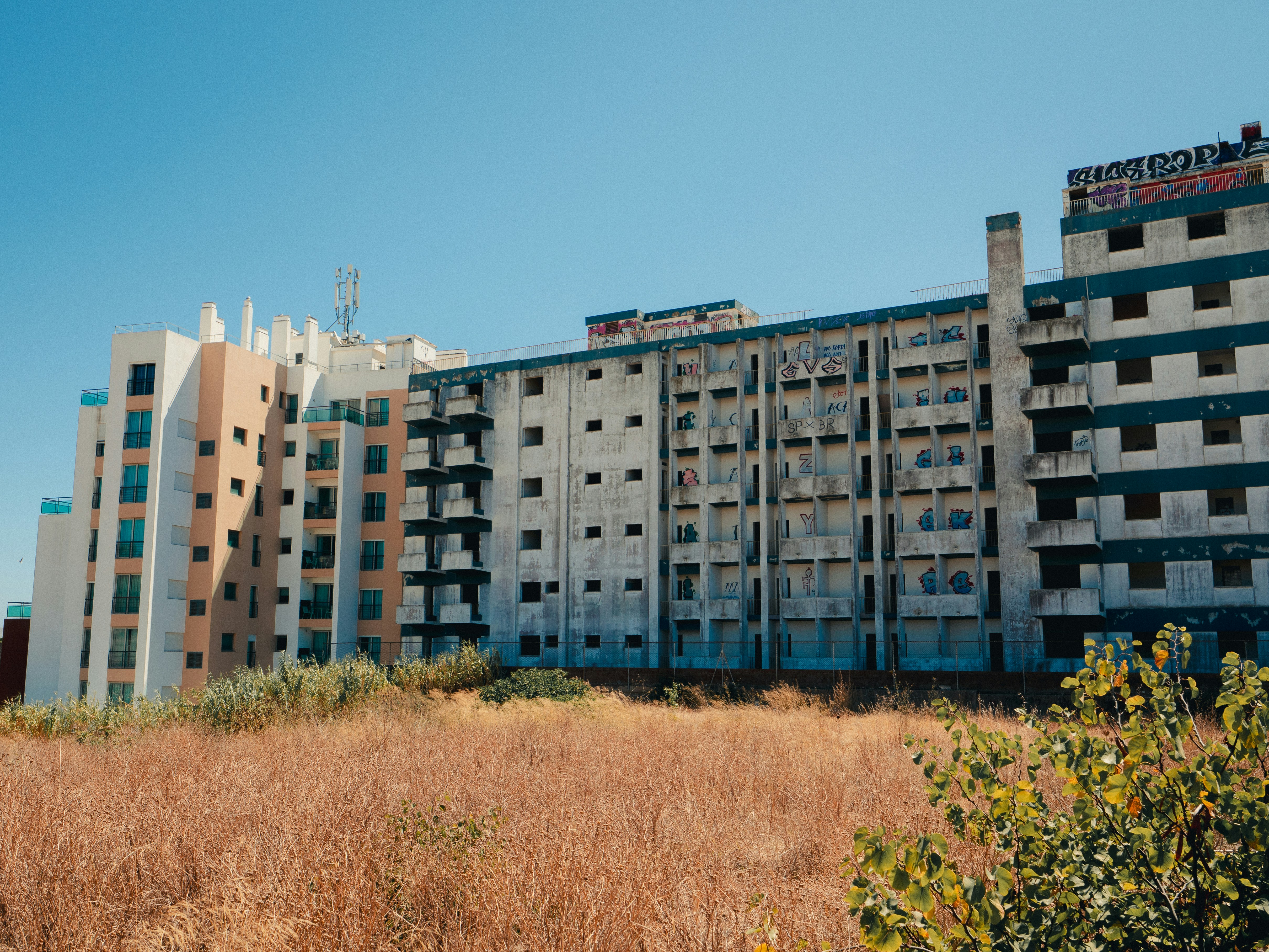 Ein verlassenes Gebäude steht überwuchert auf einem Feld.