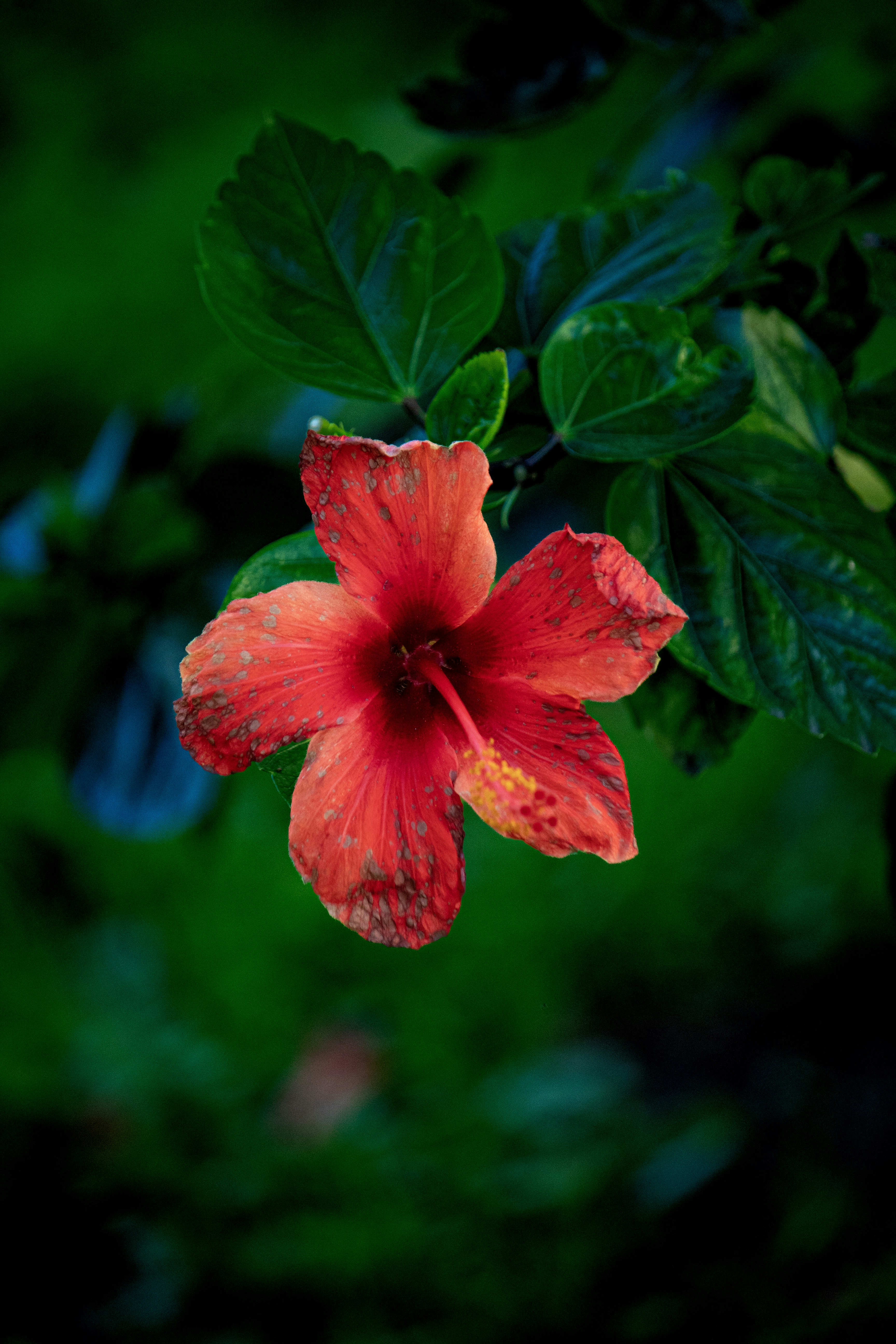 Photo by m3photoshoot