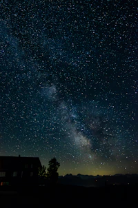 星空ファーム石垣島