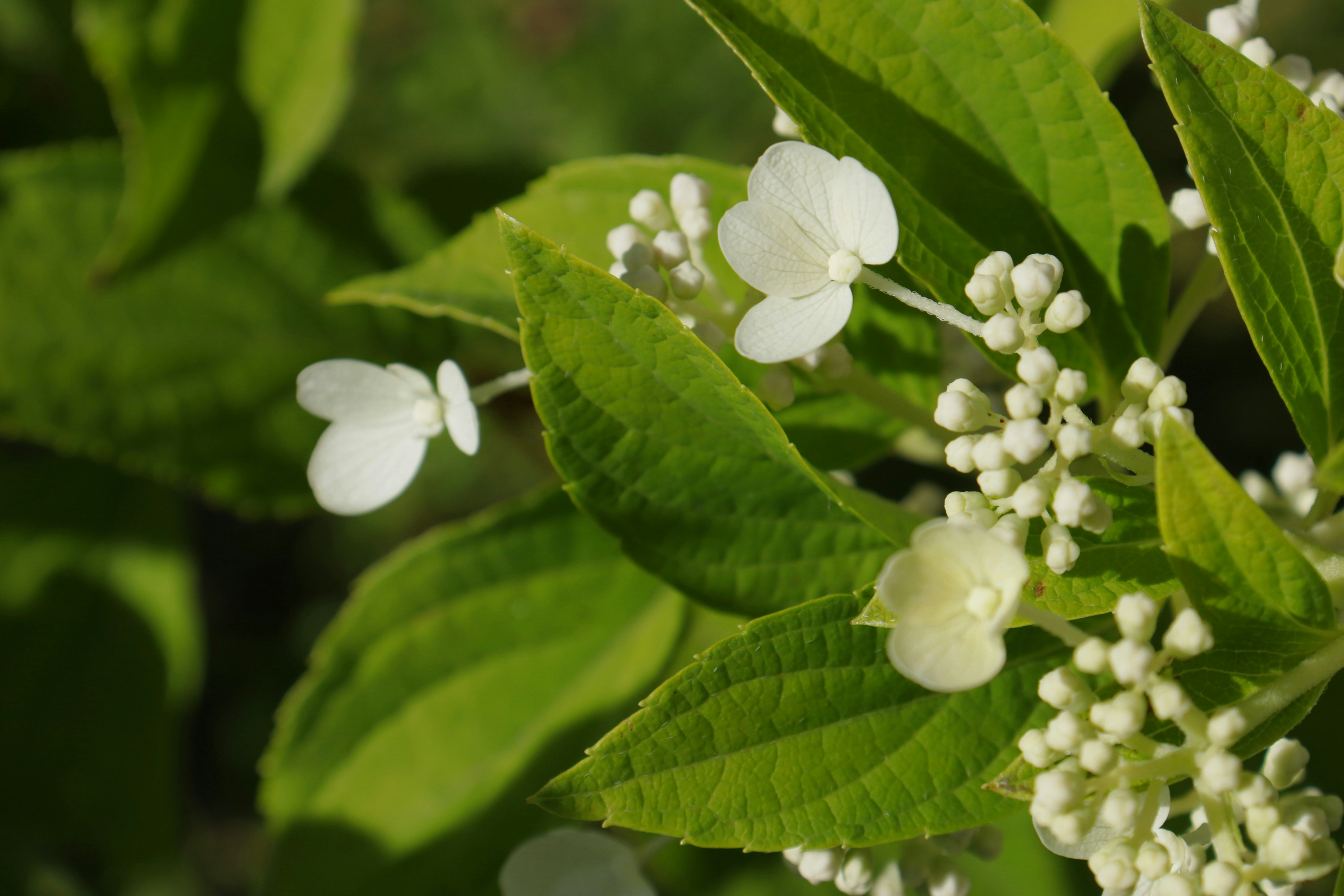 Photo by bored_mongoose