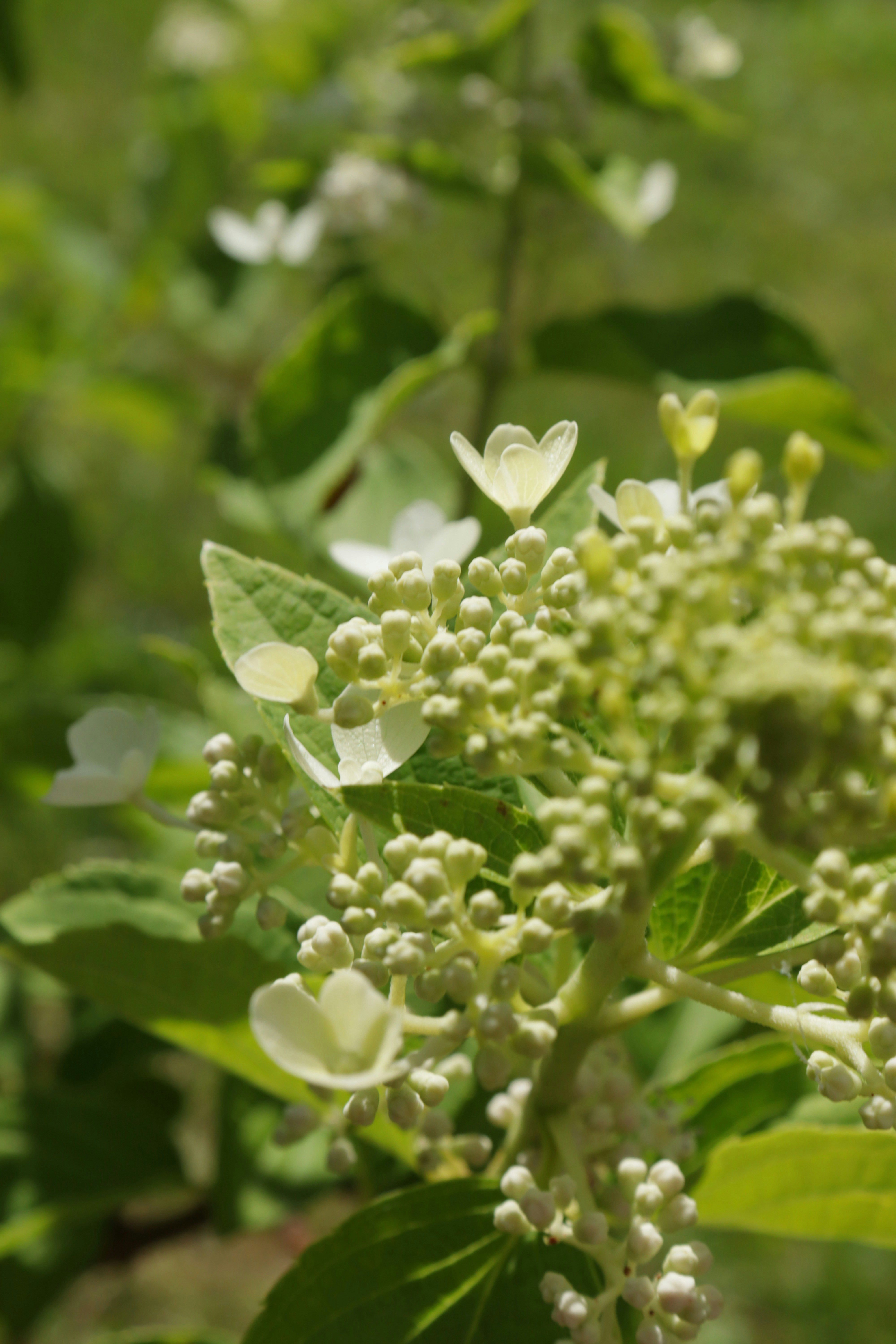 Photo by bored_mongoose