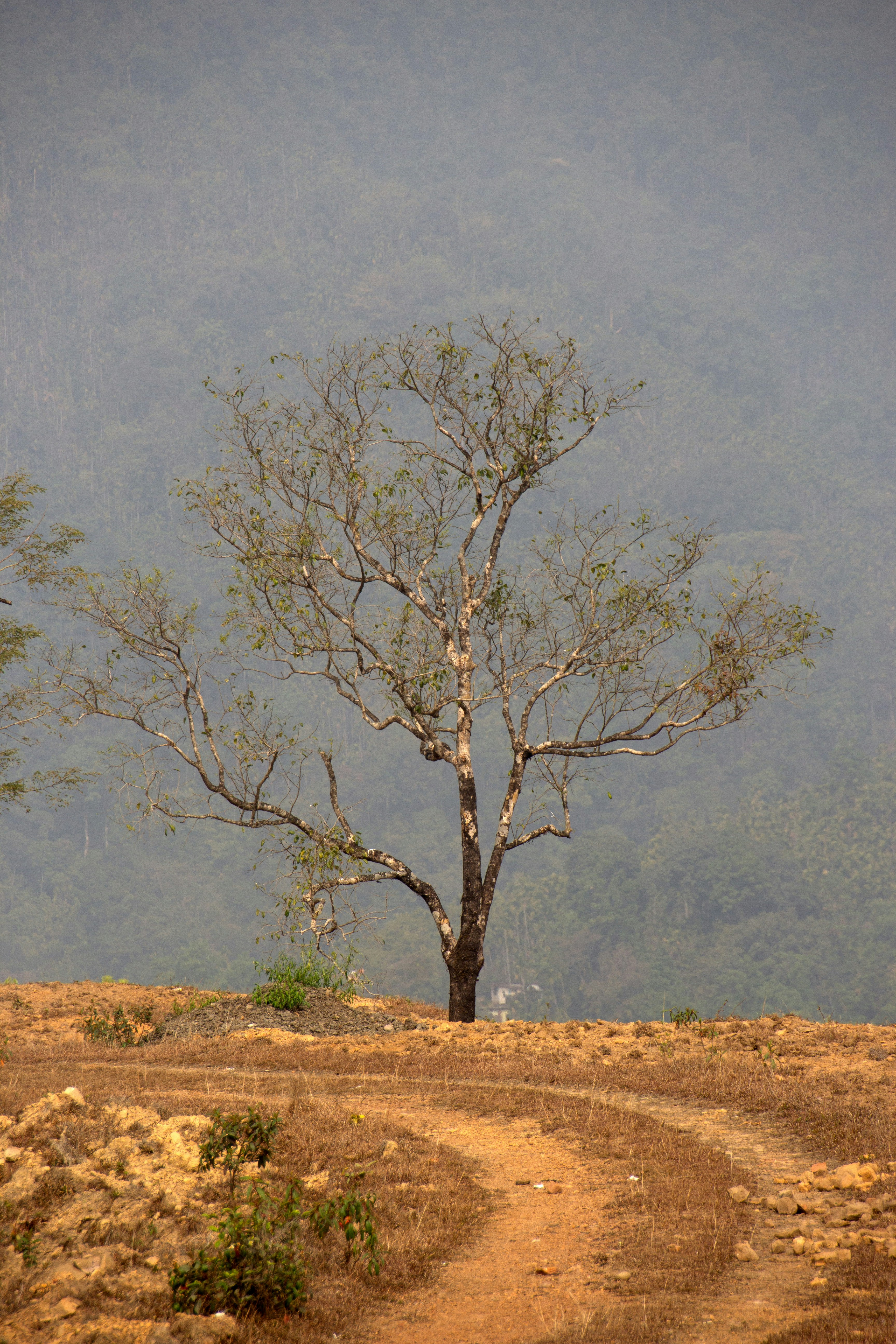 Photo by shariar15