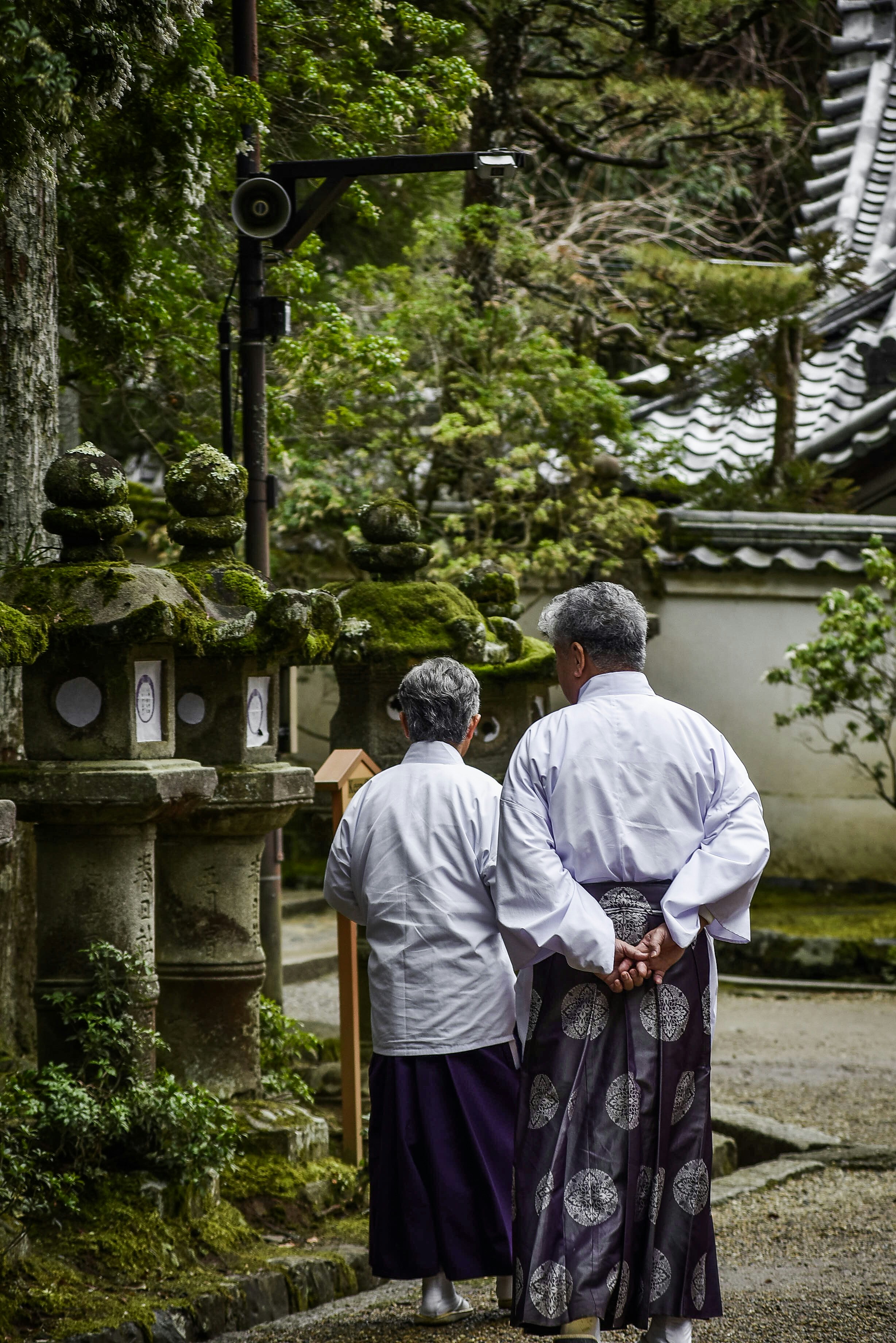 Photo by vignette_colours