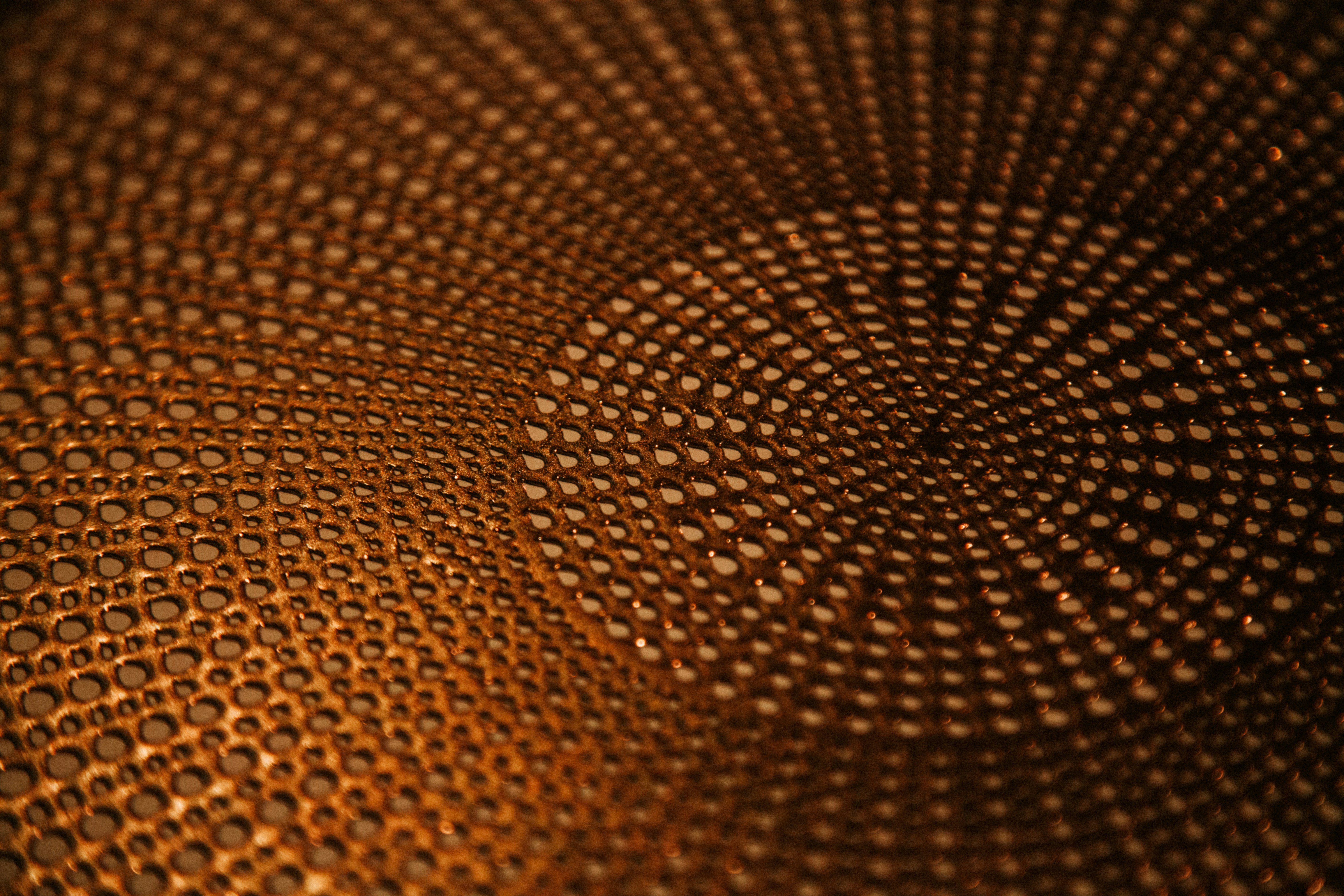 A perforated metal surface with circles of holes.