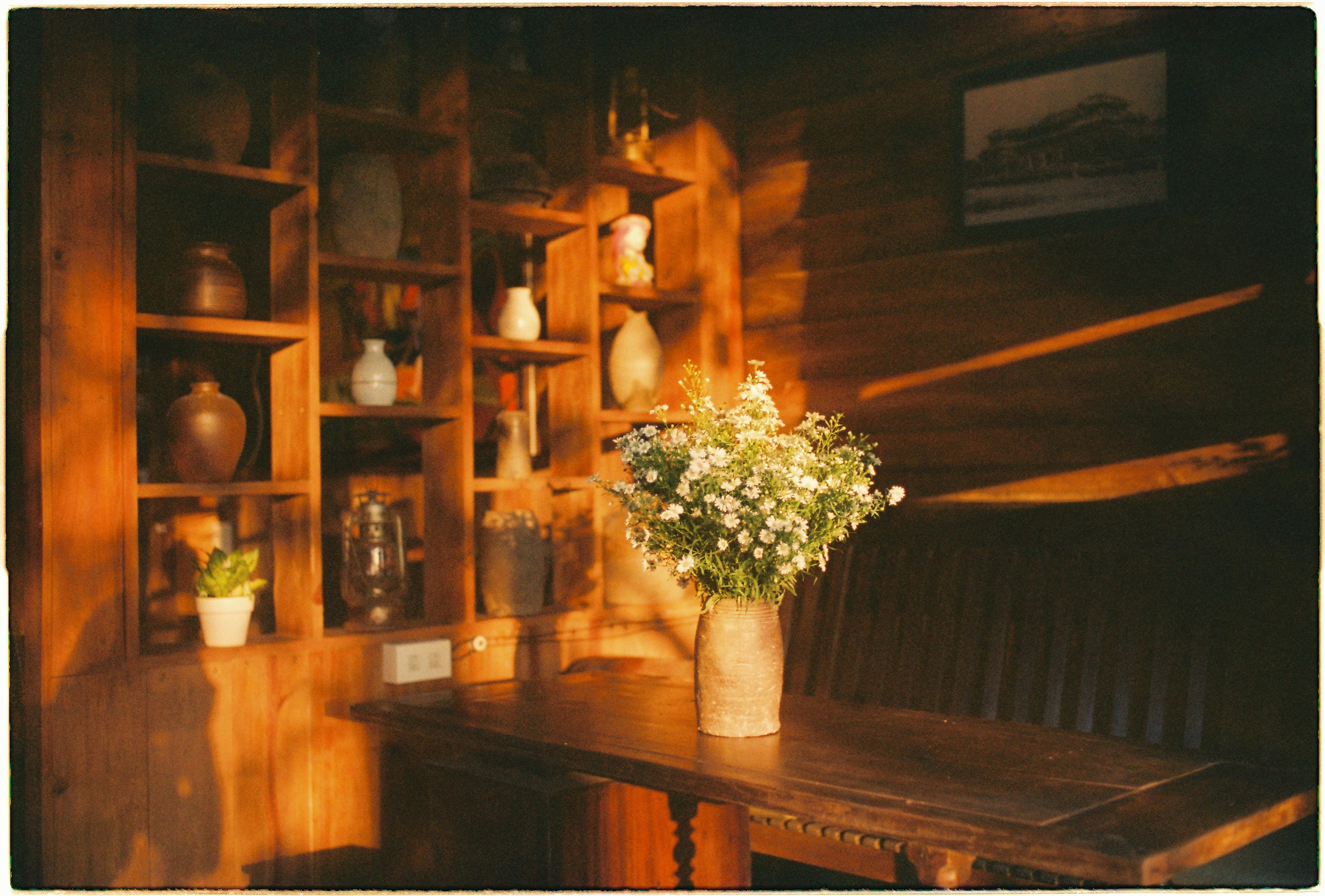 Photo by meomupmofilm