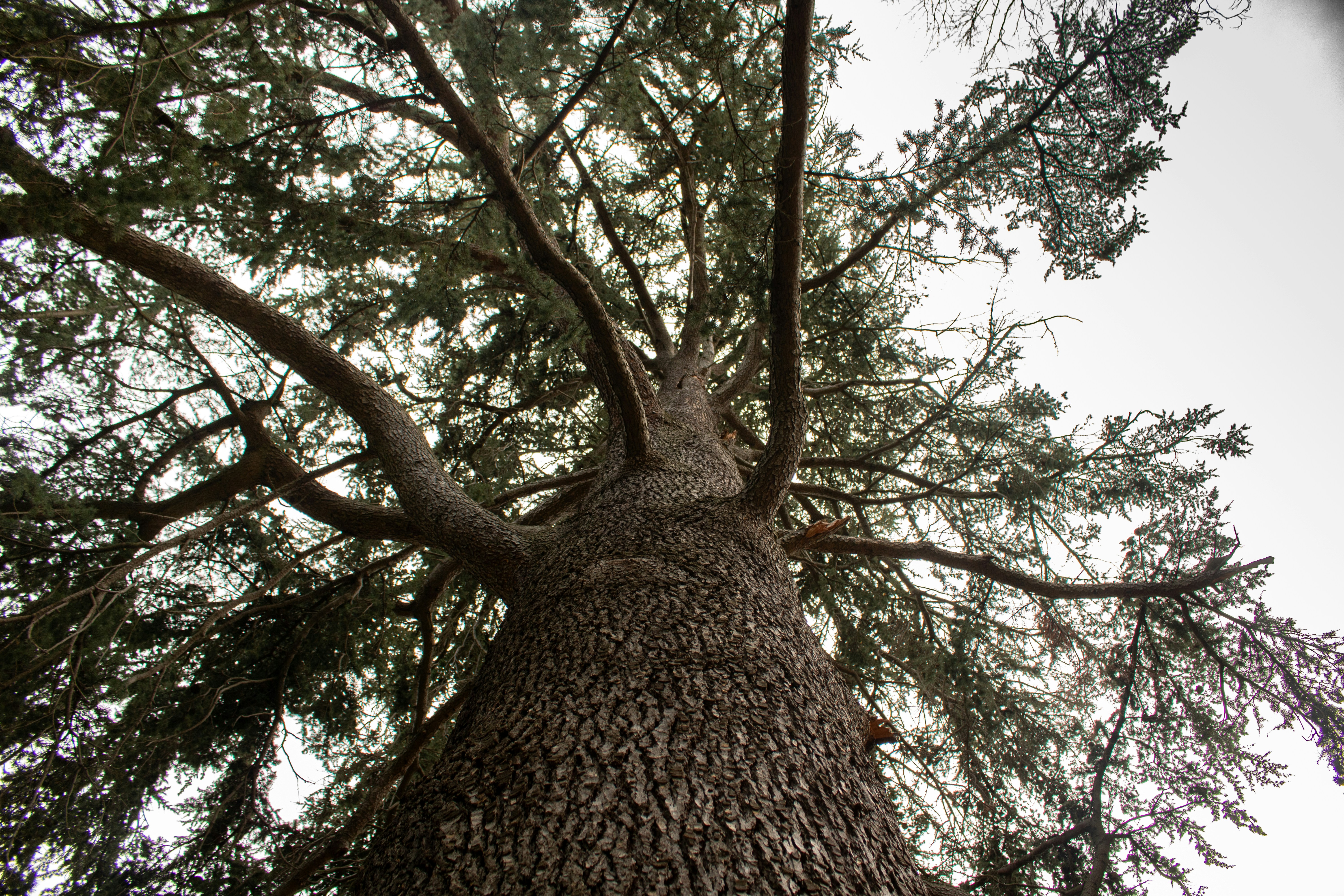 Photo by zoshuacolah