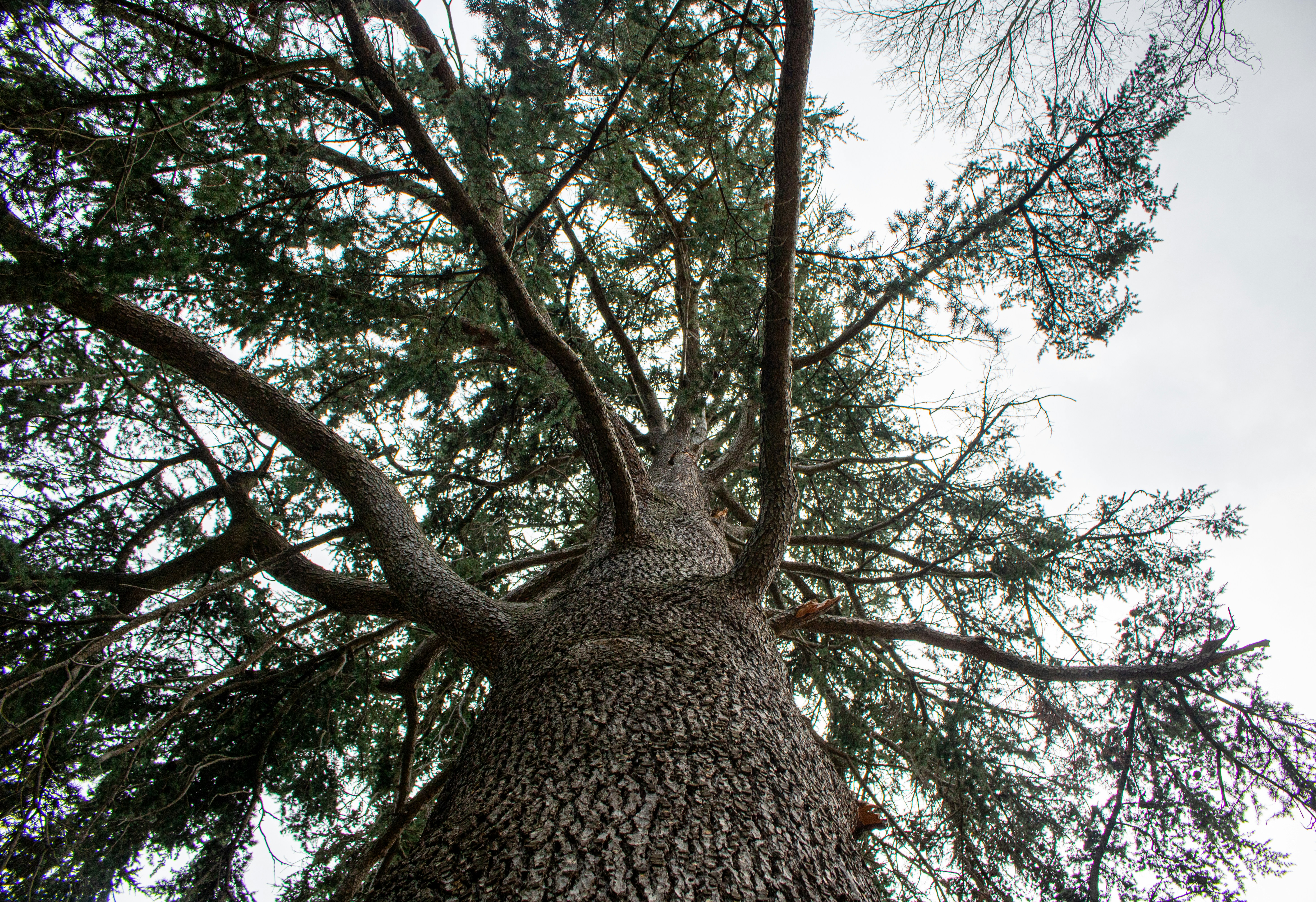 Photo by zoshuacolah