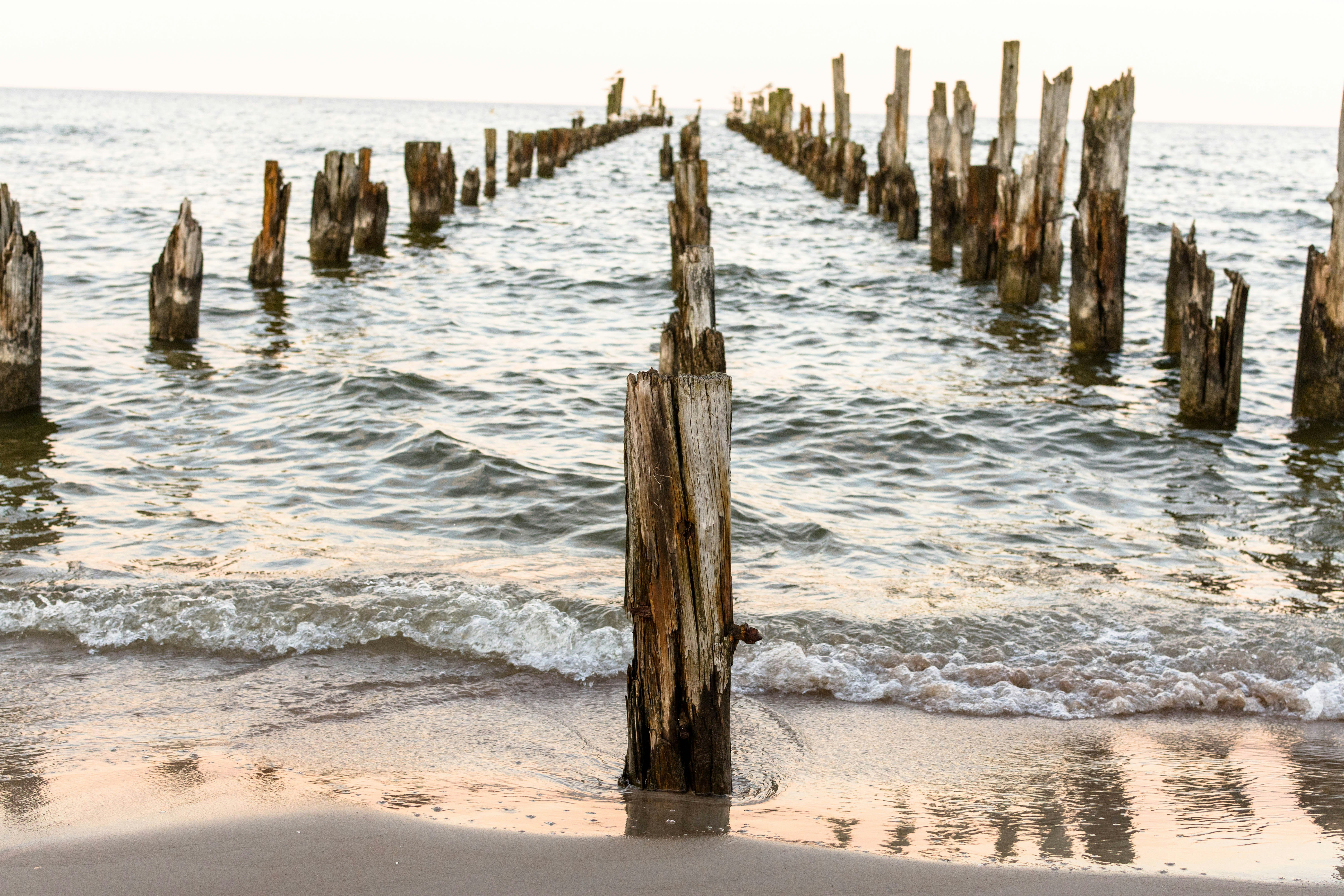 Old pilings stand in the ocean at sunset.