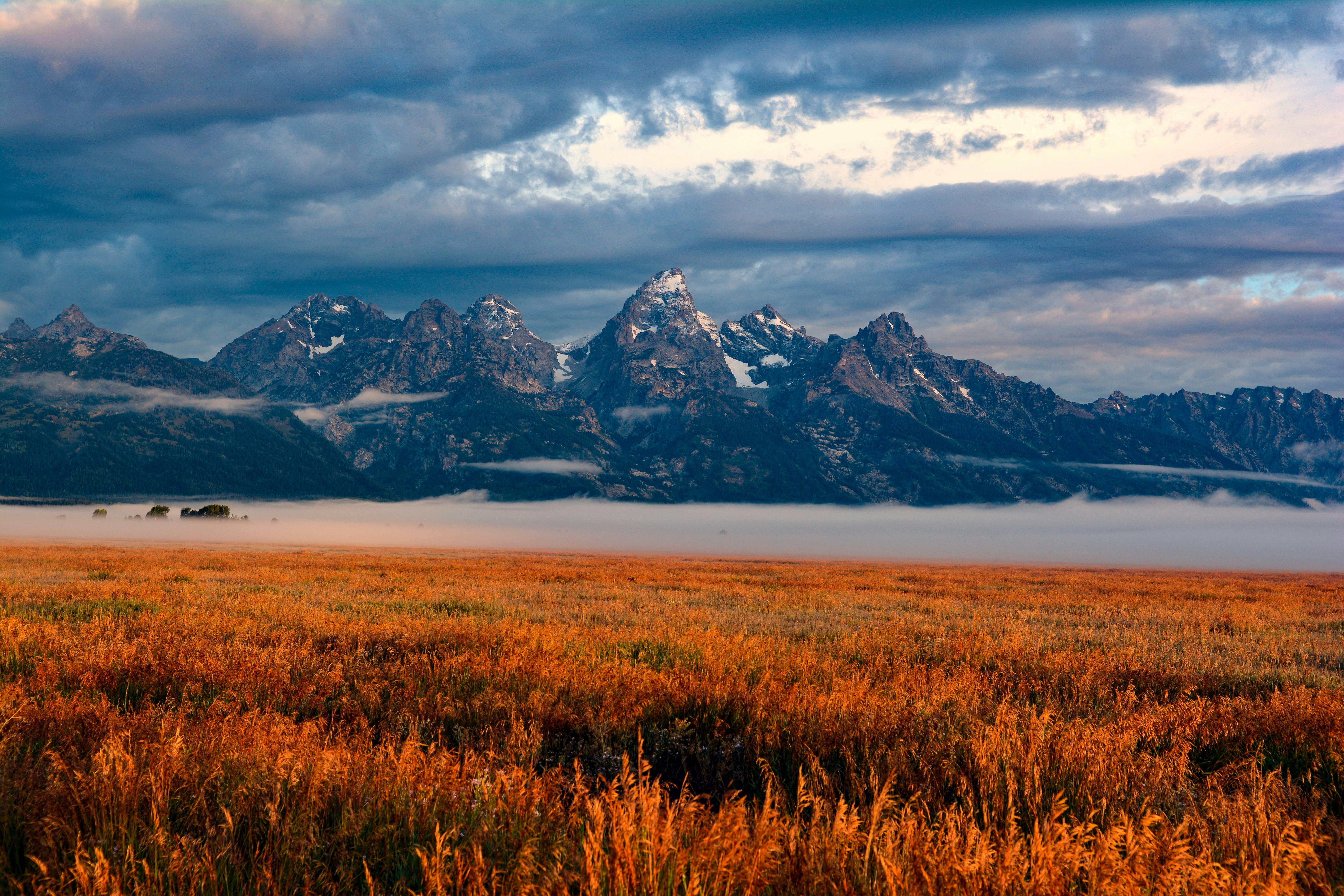 Mountains rise above a field of golden wheat.