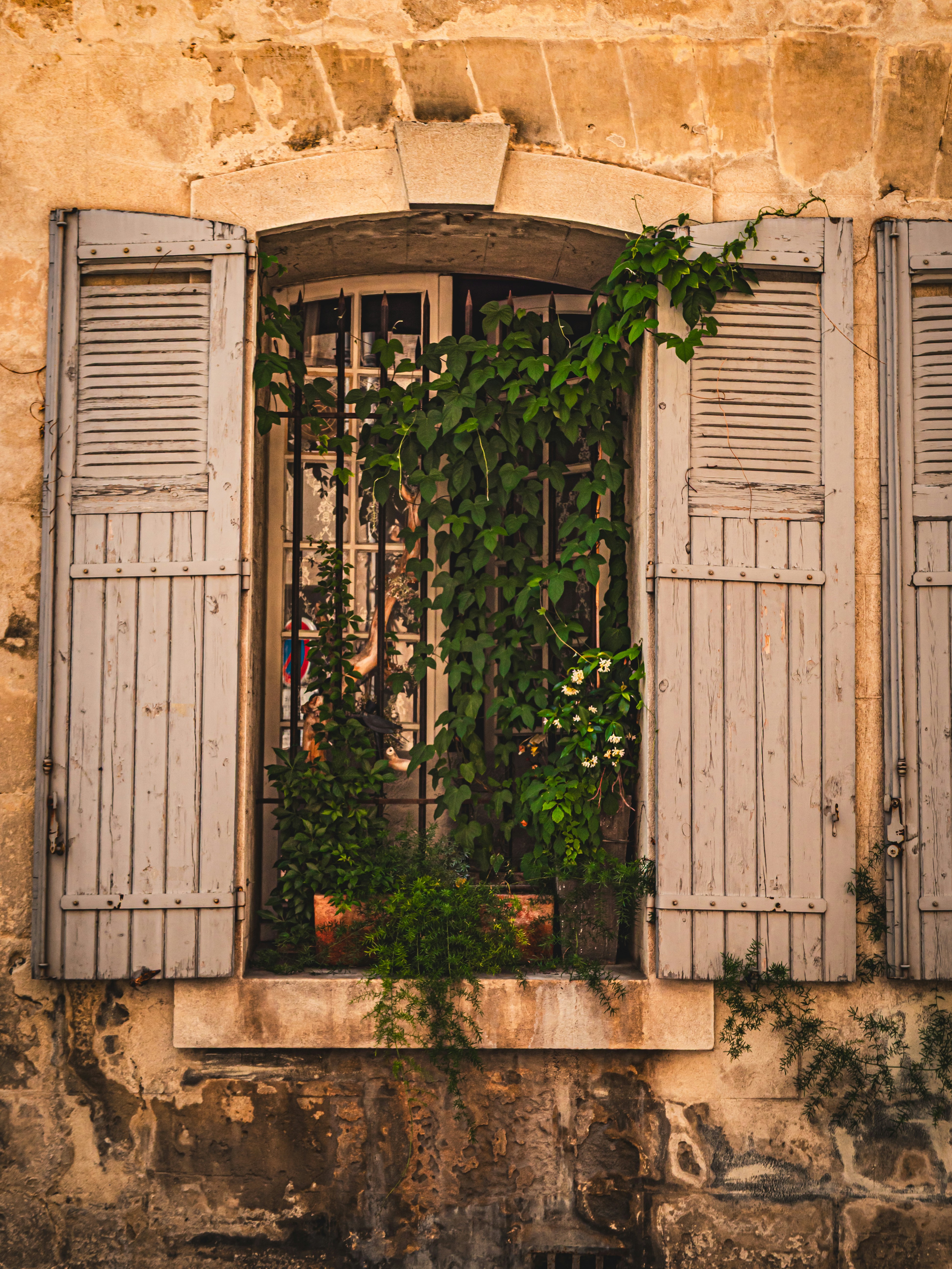 Photo by poli_graphy