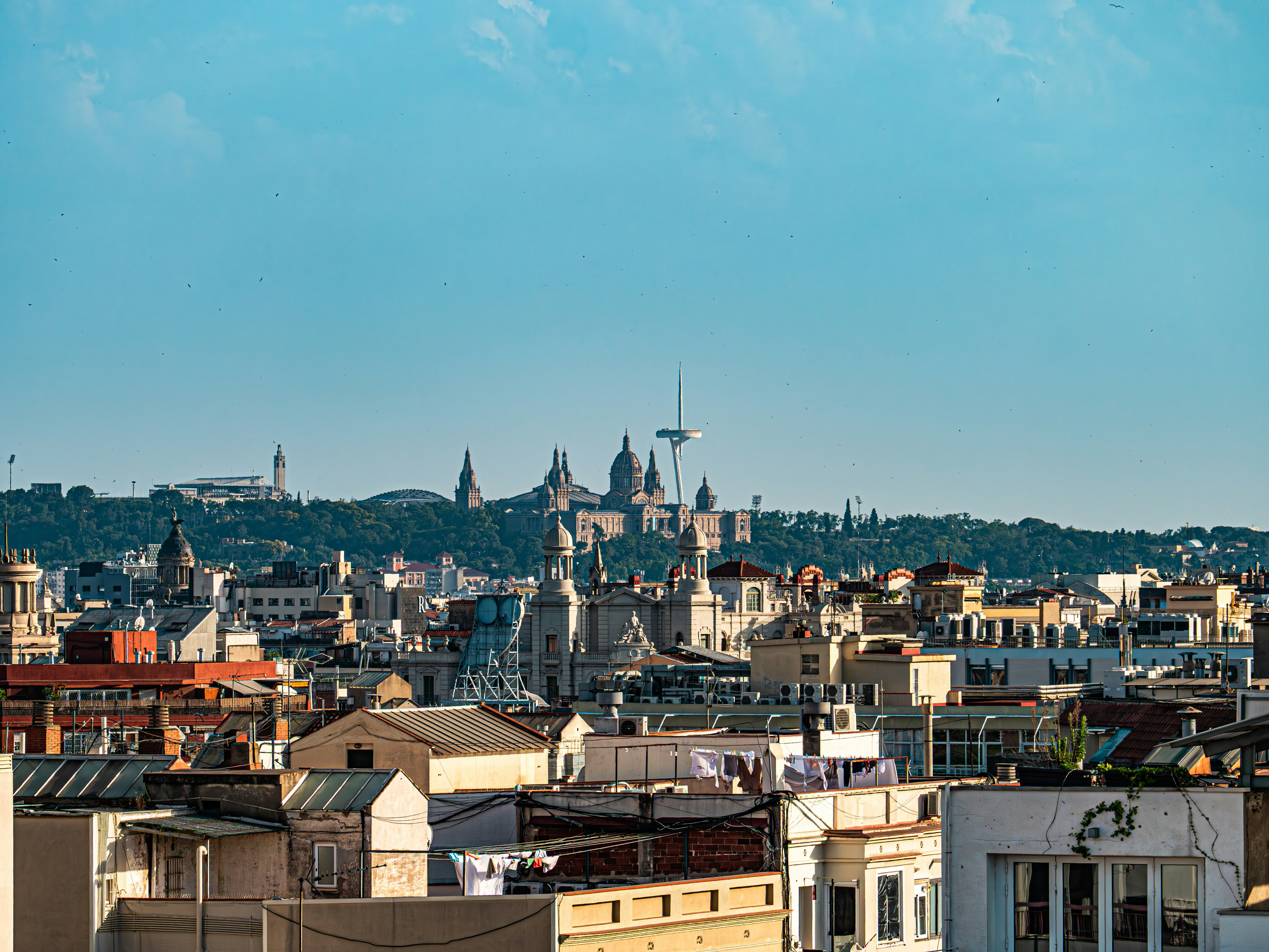 Photo by poli_graphy