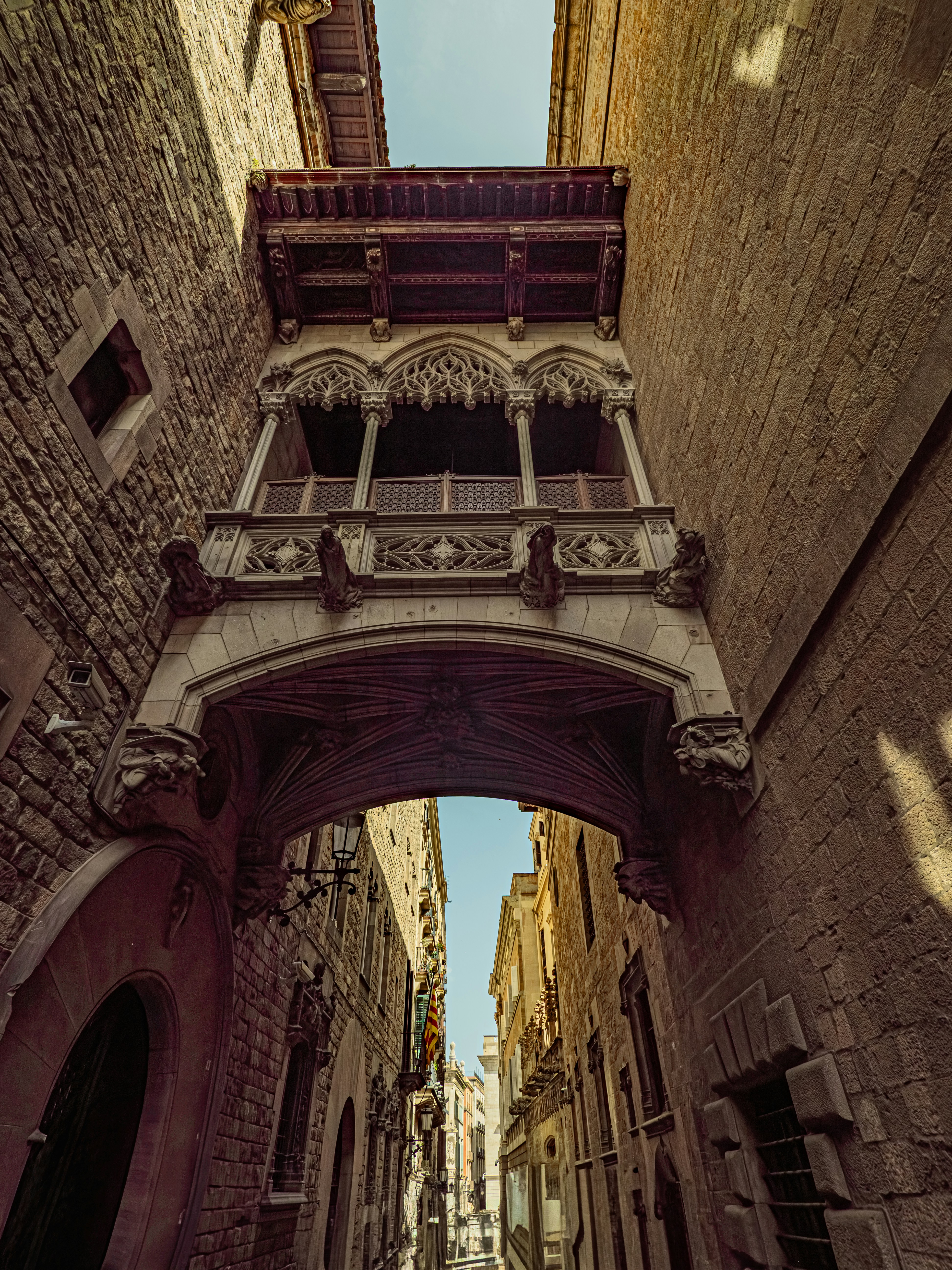 Photo by poli_graphy