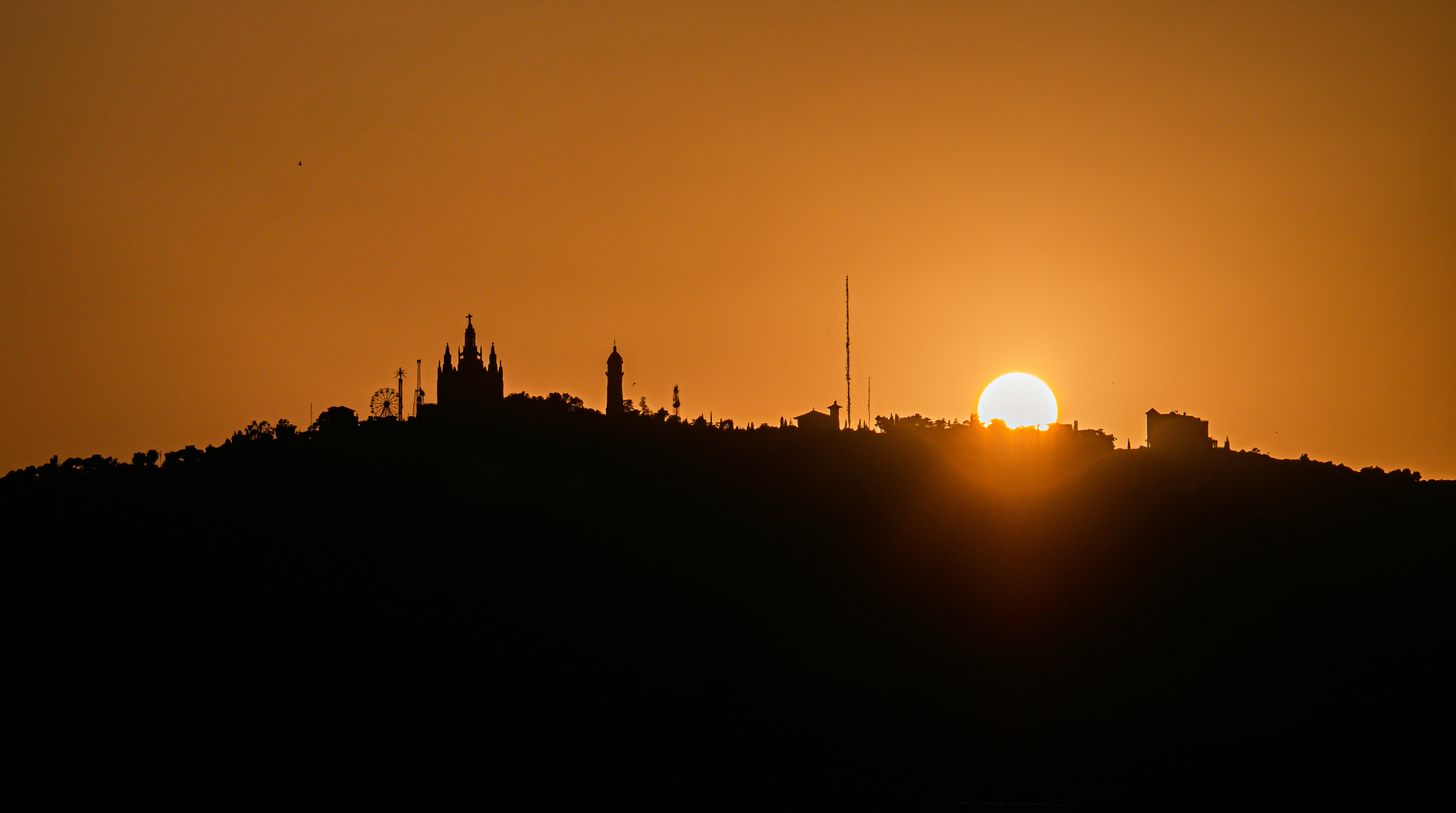 Photo by poli_graphy