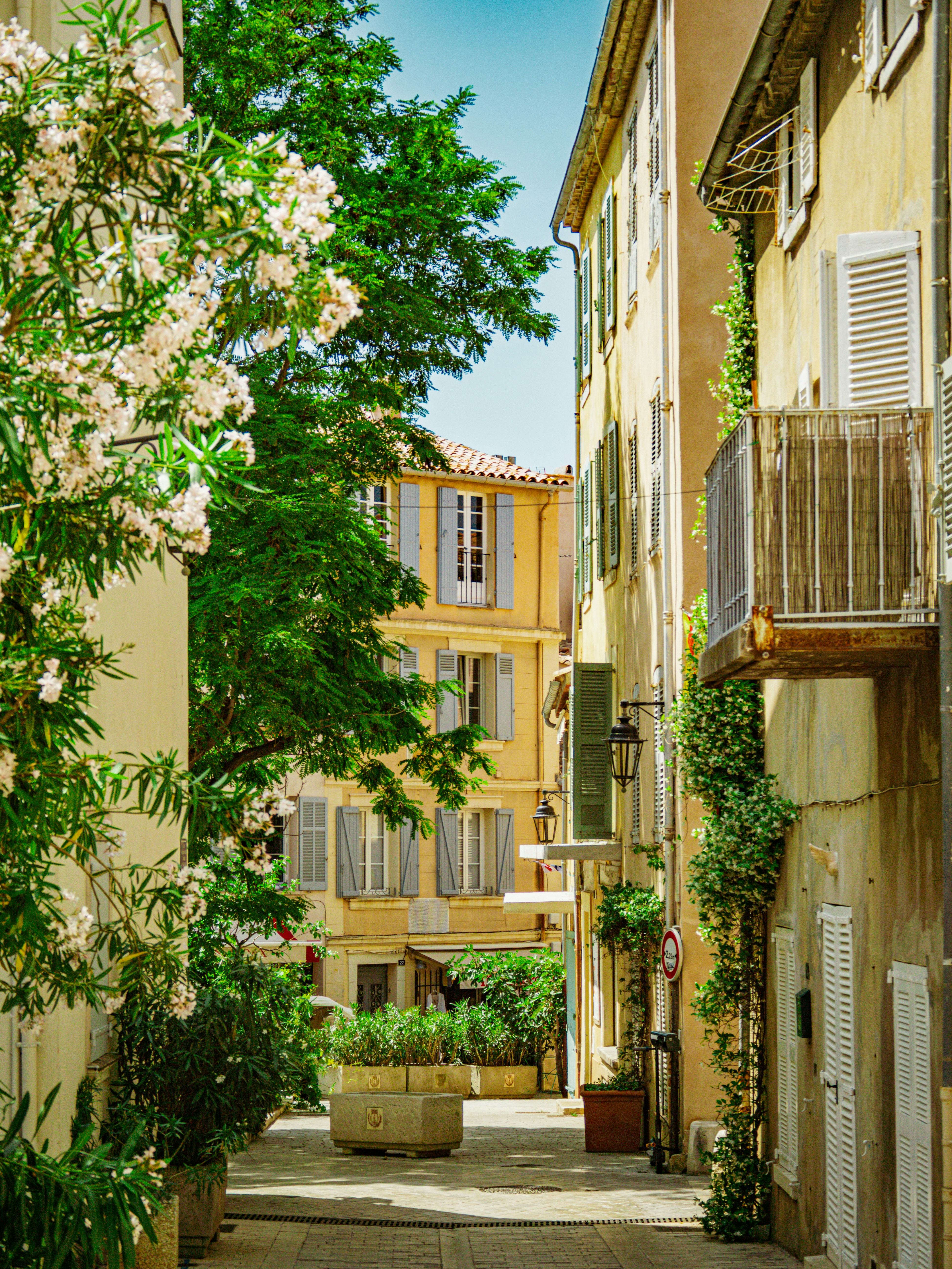 Photo by poli_graphy