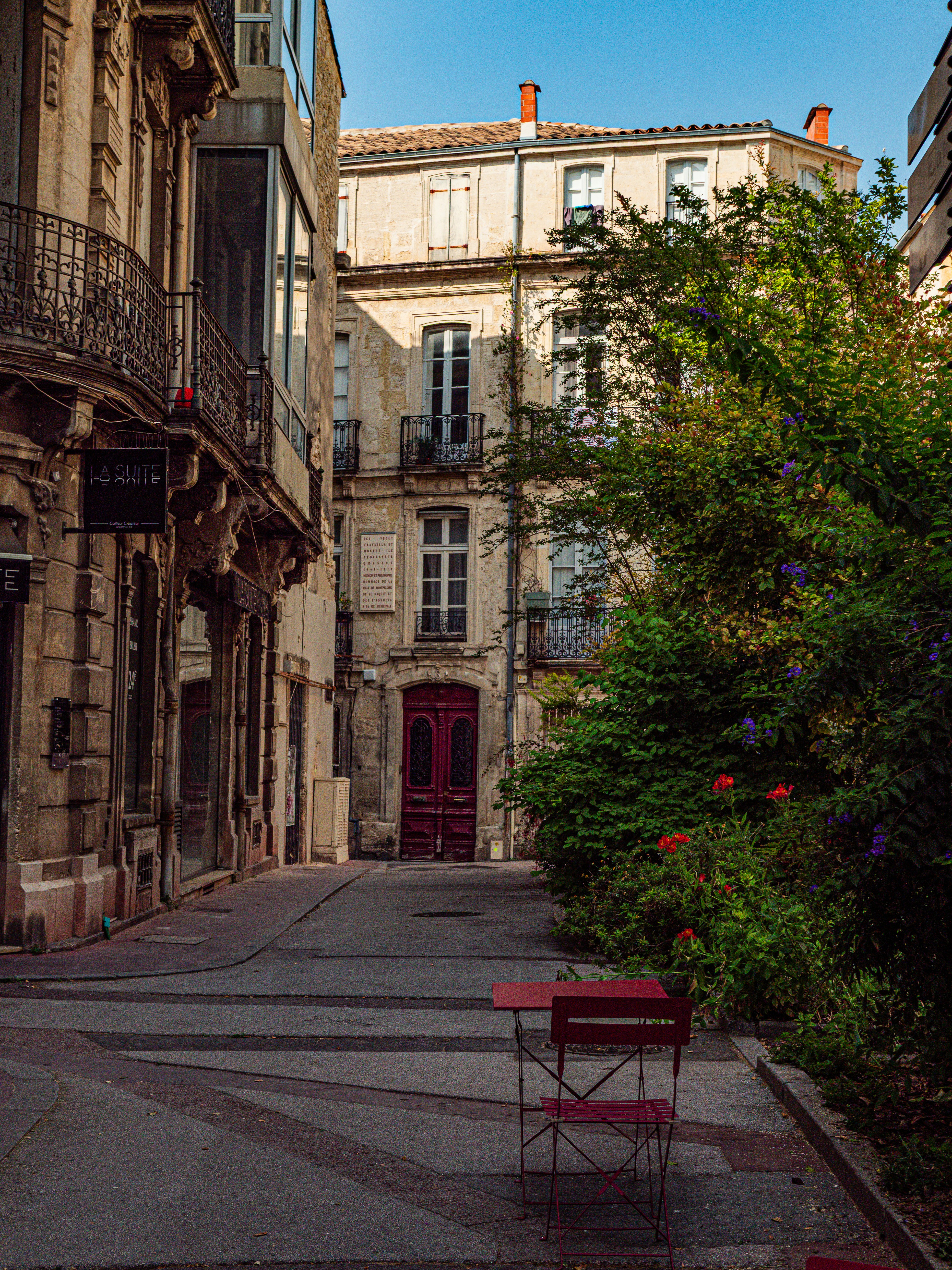 Photo by poli_graphy