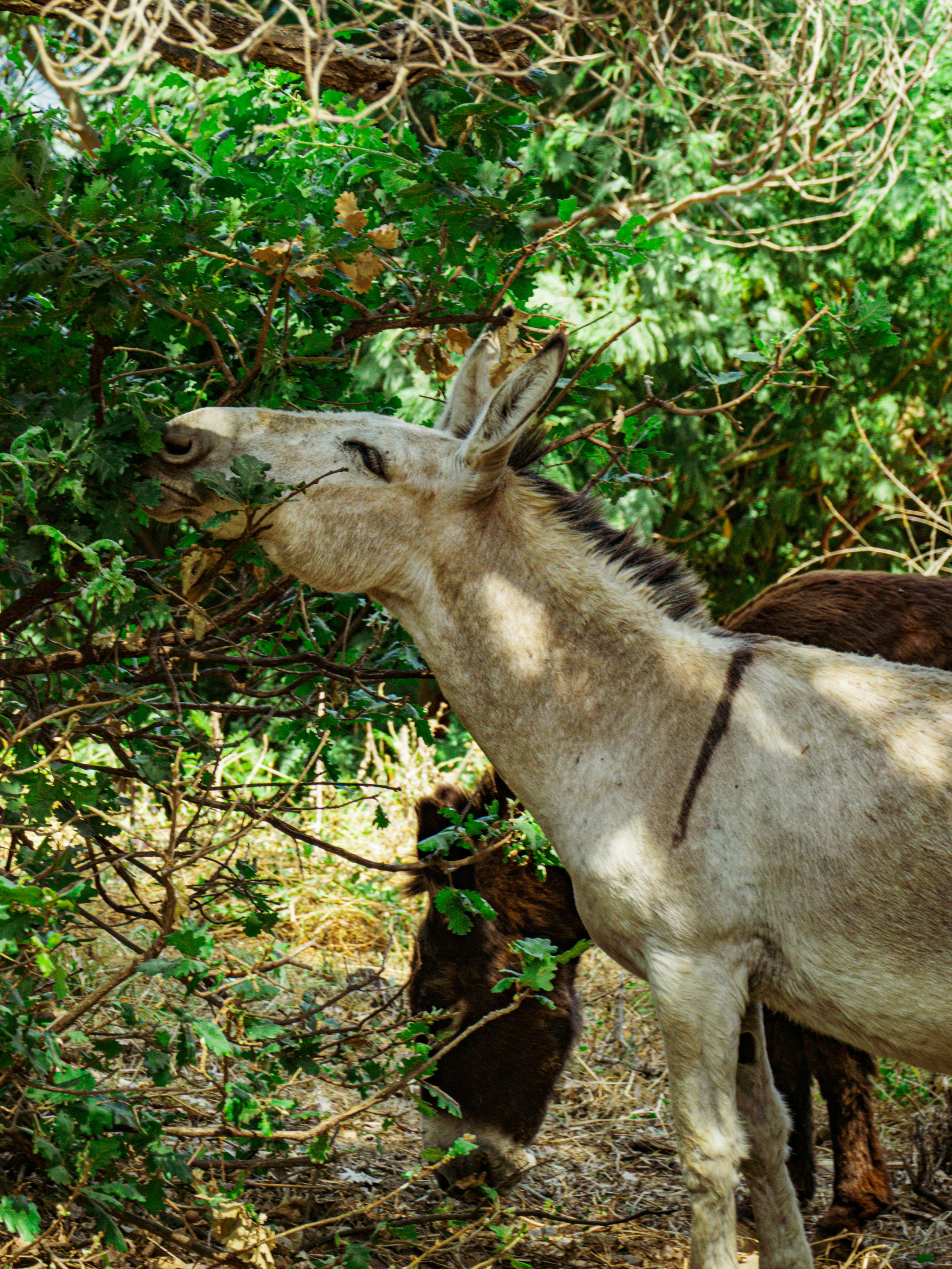 Photo by poli_graphy