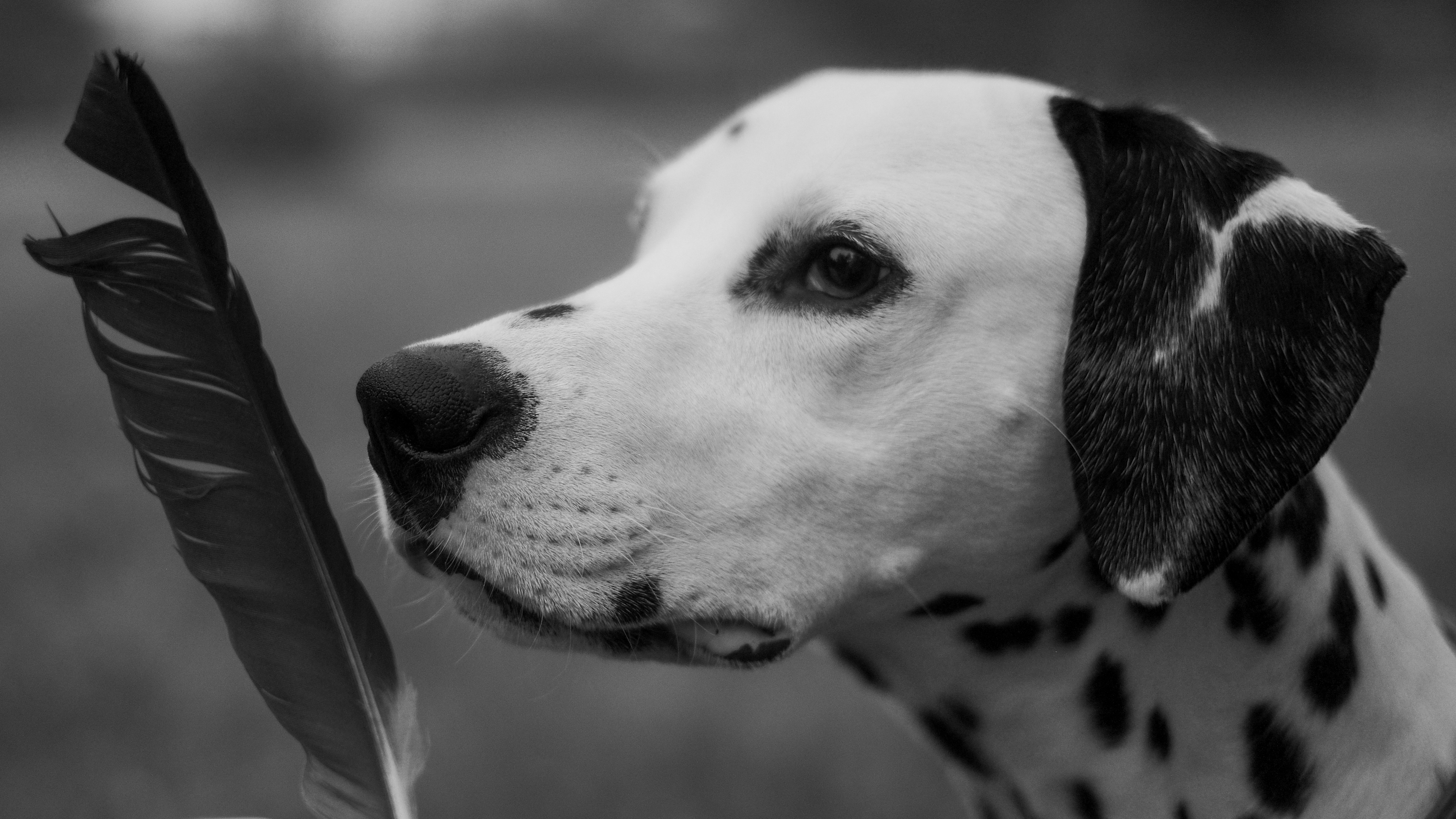 Photo by eugenechystiakov