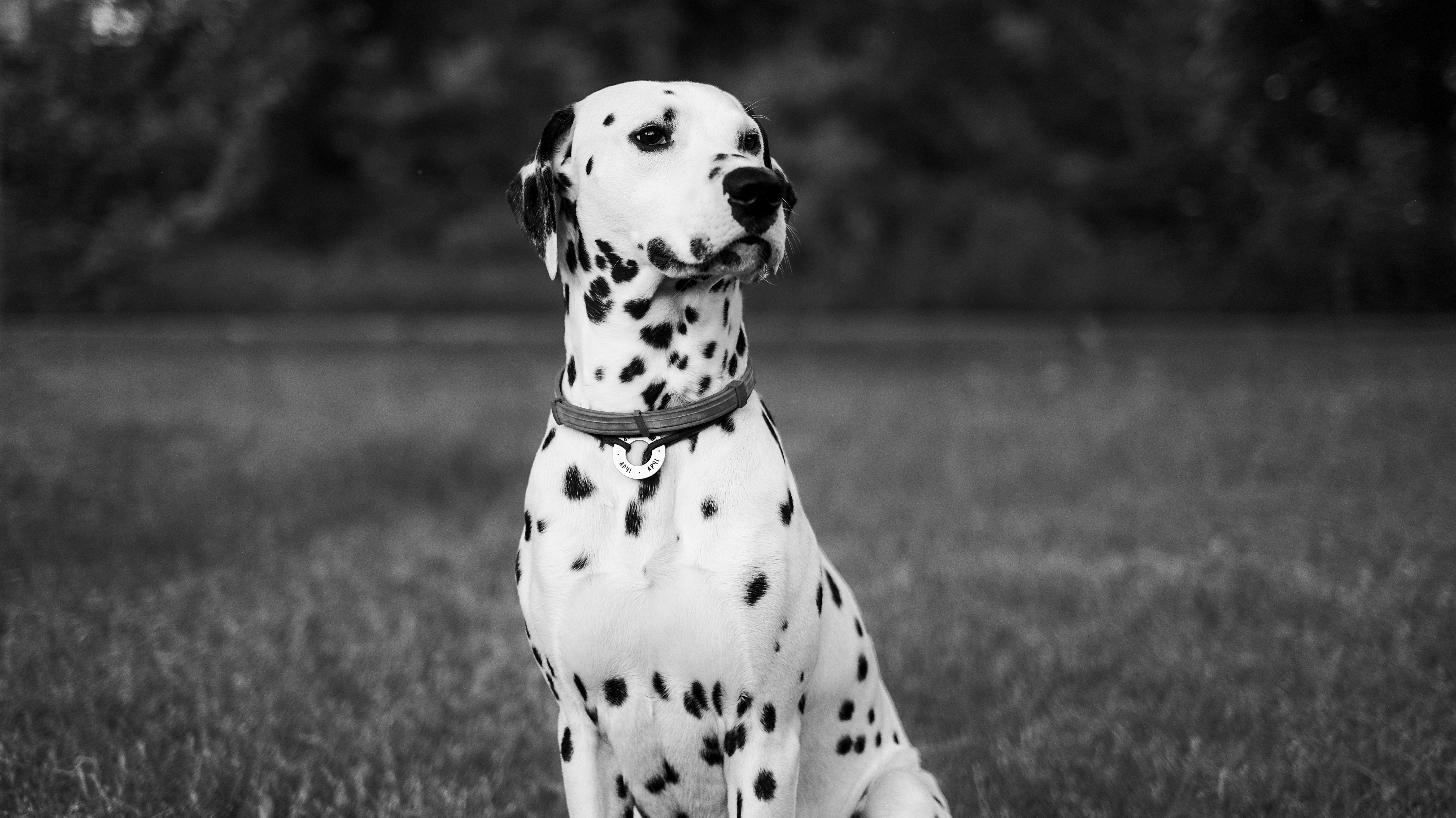 Photo by eugenechystiakov